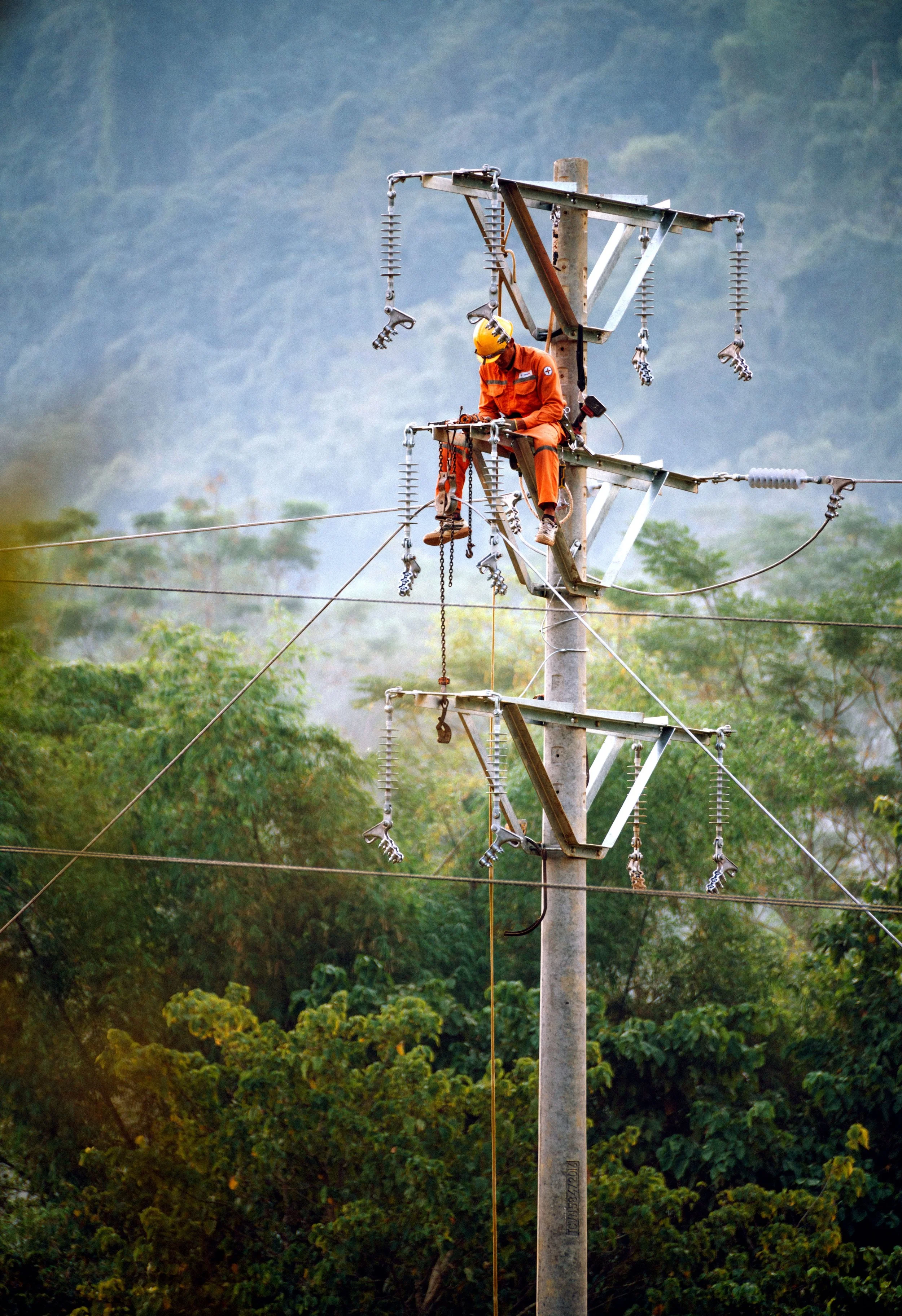 Trabajador en uniforme naranja y casco amarillo sentado en un poste de energía, realizando mantenimiento en las líneas eléctricas en un área con muchas plantas y árboles.