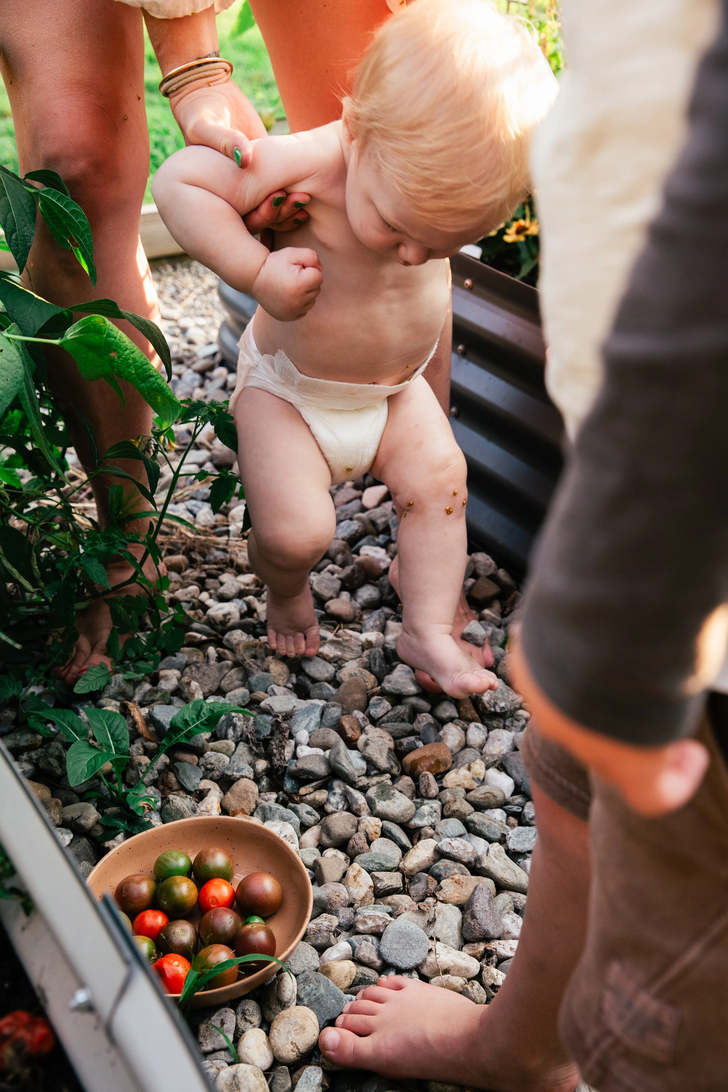 A young child with blonde hair, wearing only a diaper, is standing on a rocky ground and holding the hand of an adult. The adult is helping the child with gardening or picking tomatoes. There is a bowl of ripe and unripe tomatoes placed on the ground