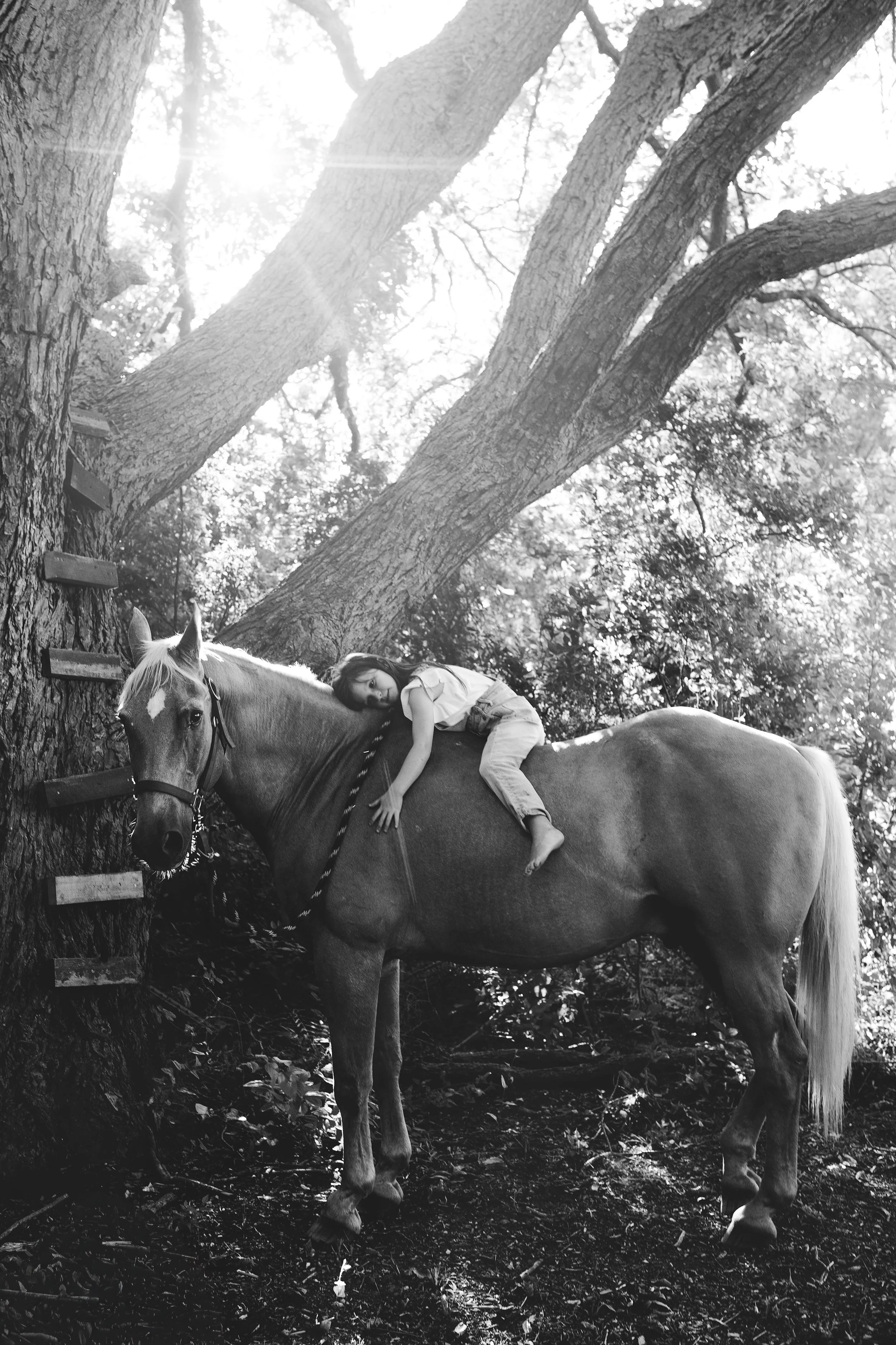 A black and white image of a young girl laying down on a horse in front of a tree. The girl and the horse are looking directly into the camera.