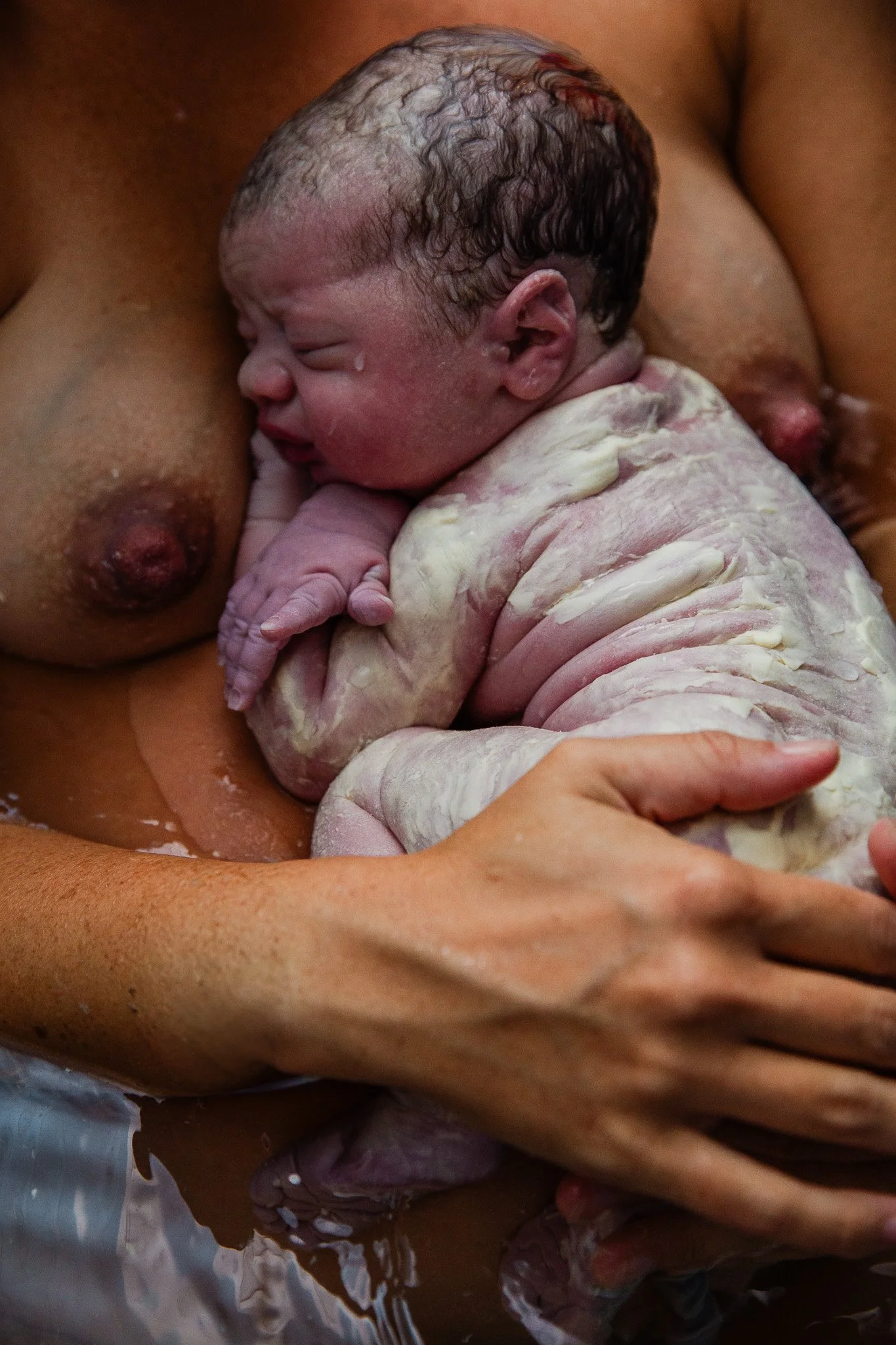 Close-up of a newborn baby being held by a caregiver during birth, with the baby's head partially covered in vernix and hair, and the baby's face visible with eyes closed.