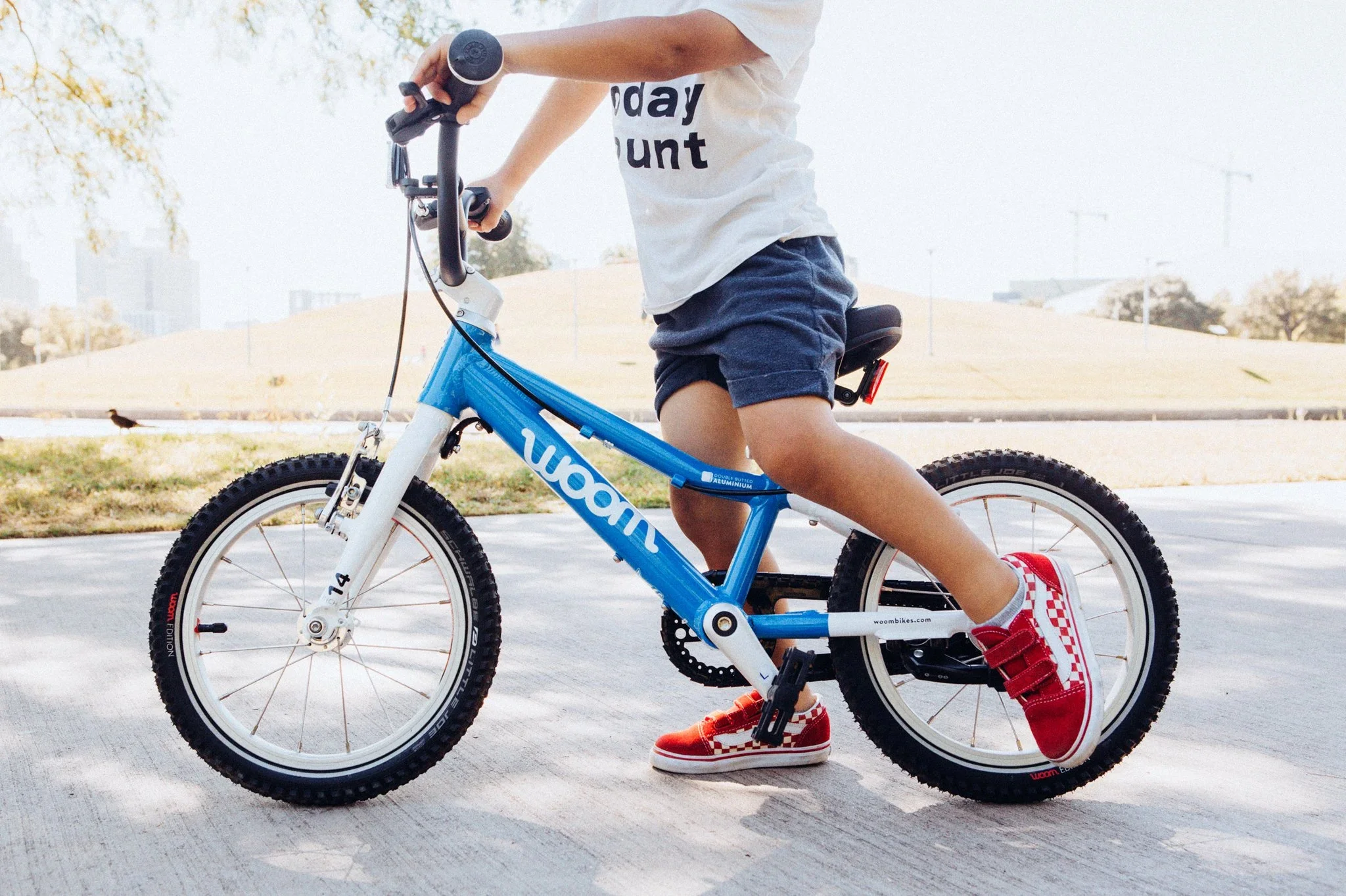Child riding a blue mountain bike on a paved path in a park, wearing red and white checkered sneakers and a white T-shirt with black text, with trees and a grassy hill in the background.