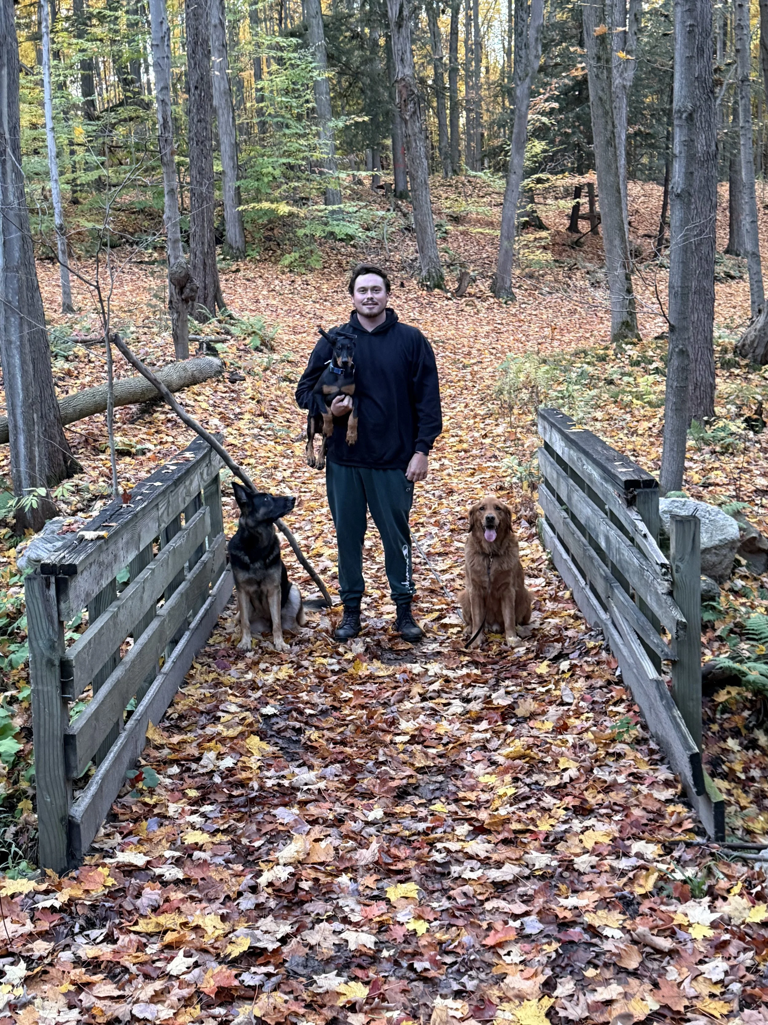 A man holding a small dog and sitting with two larger dogs on a trail covered with autumn leaves in a forest.