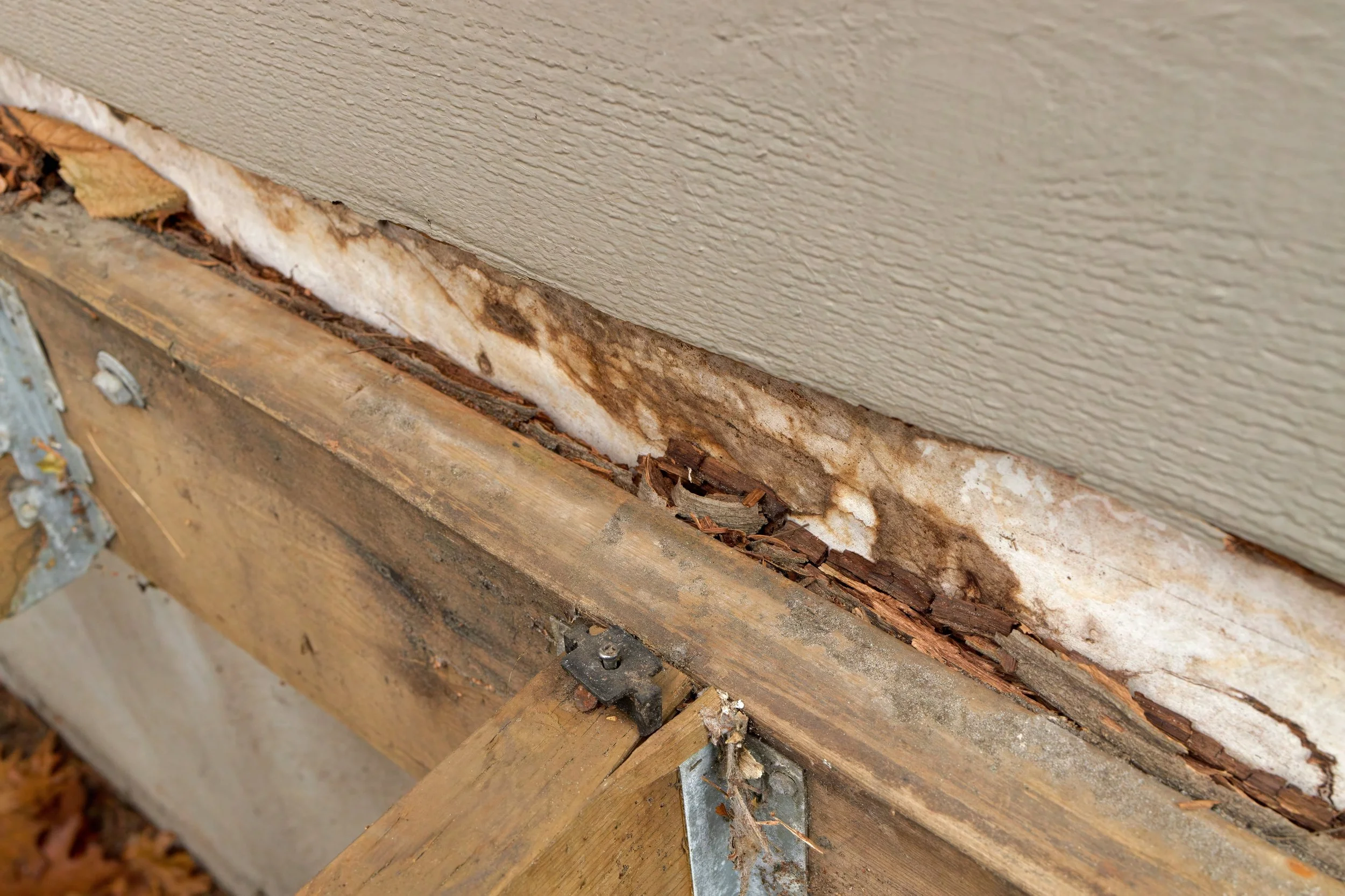 rotten wood. deck ledger with no flashing. bad deck construction. intrusive testing
