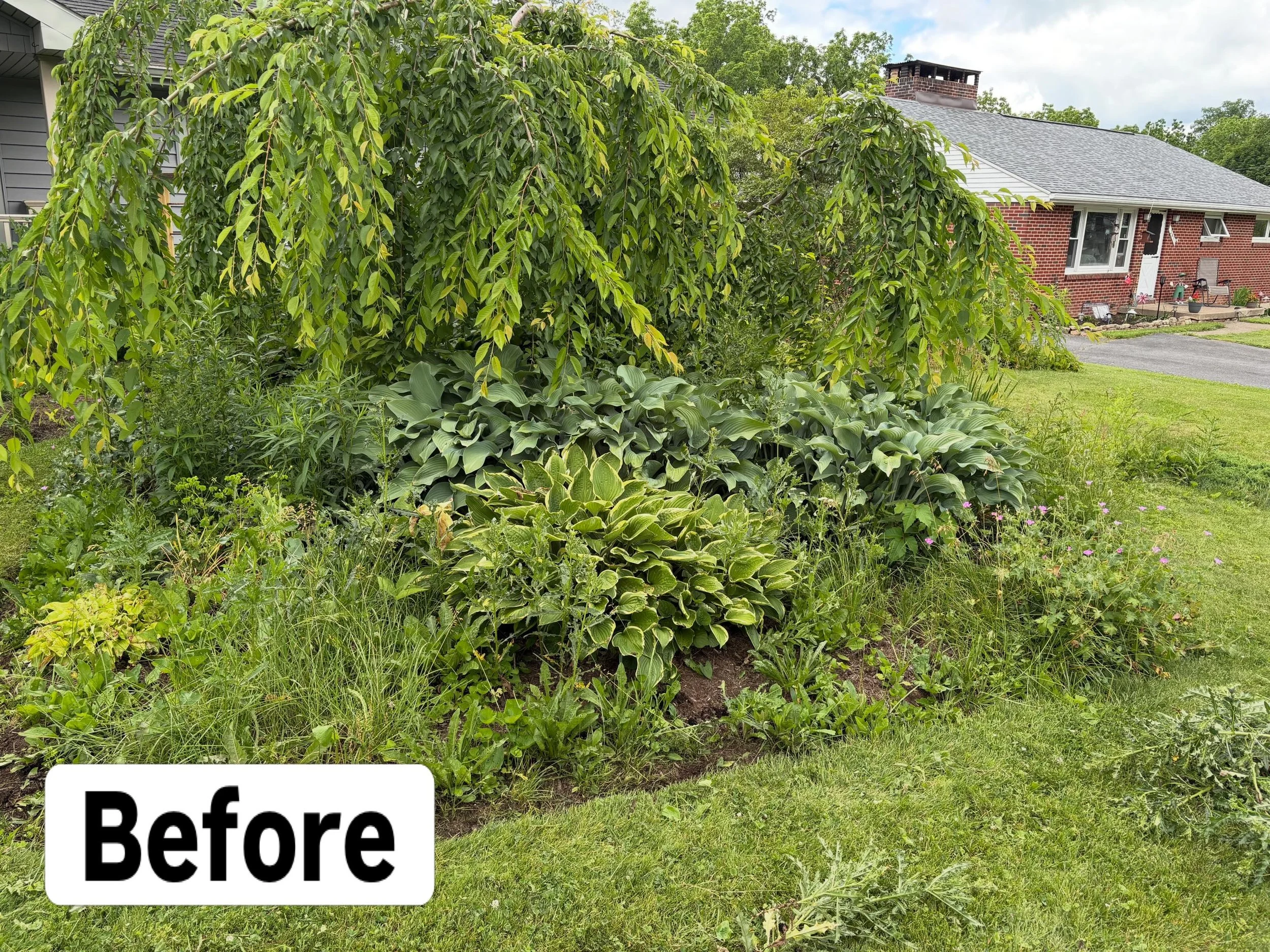 Celebrate the United States upcoming 250th birthday with a landscape that stands out! 🇺🇸

On this property we did extensive weeding and added new mulch to give it a fresh clean look that left the customer satisfied!