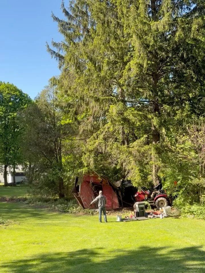 Add demolition to our skill set! ✅ 

This customer requested help removing their old dilapidated shed. Removing this shed instantly opened up the yard and made the whole yard look, bigger, cleaner, and more usable!

Contact us if you are interested i