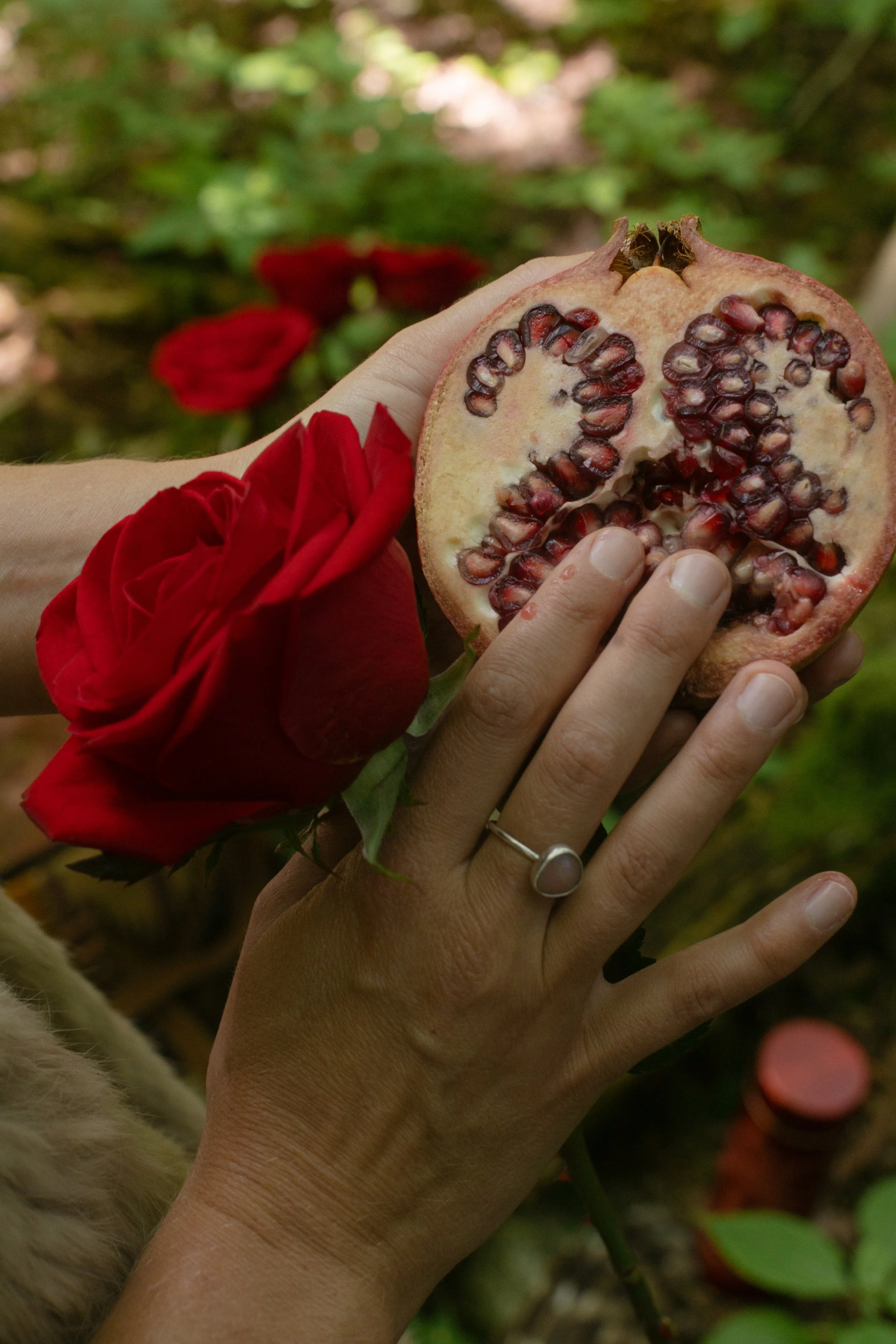 A person holding a pomegranate cut in half with seeds inside, next to a red rose.