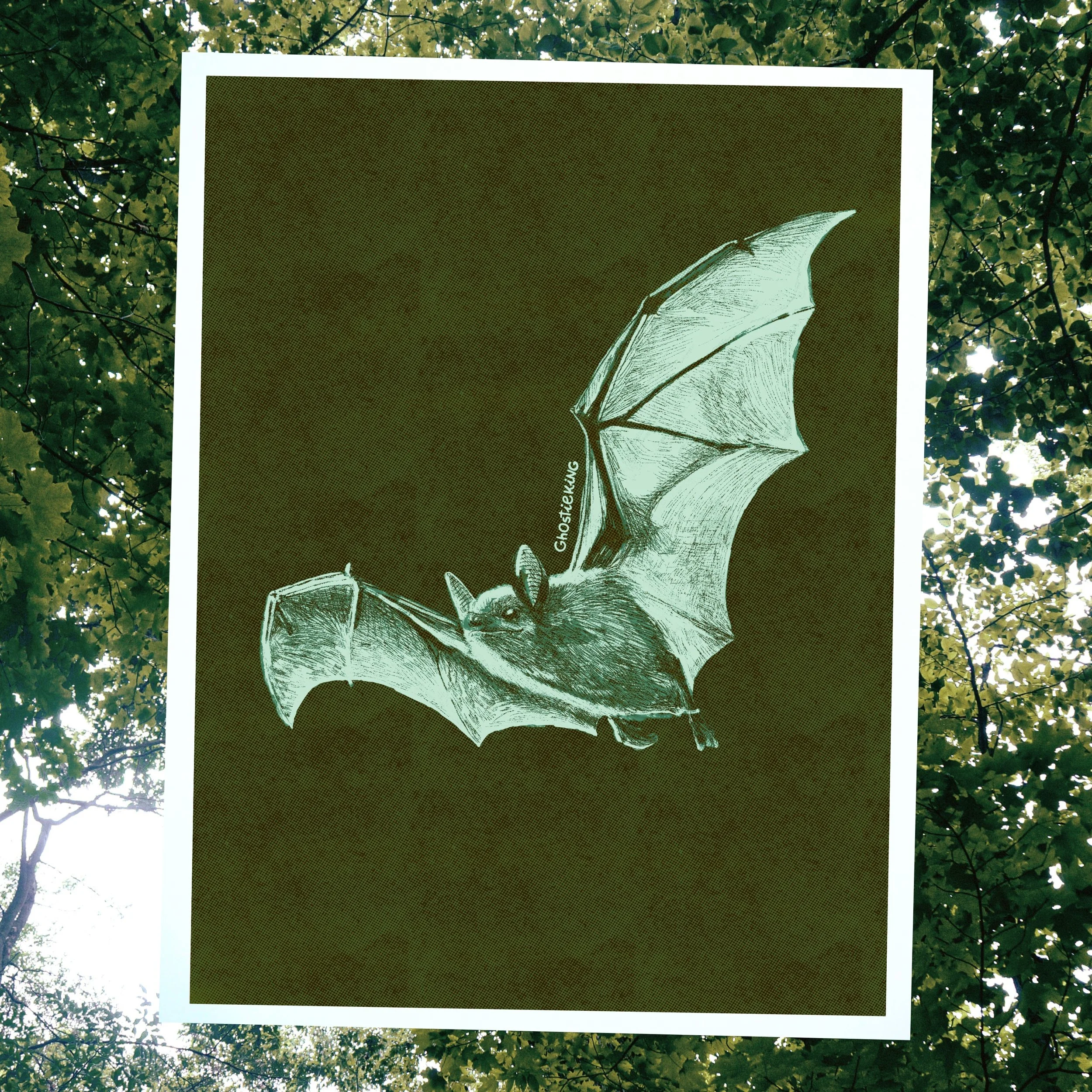 Dark Green Bat Large Print