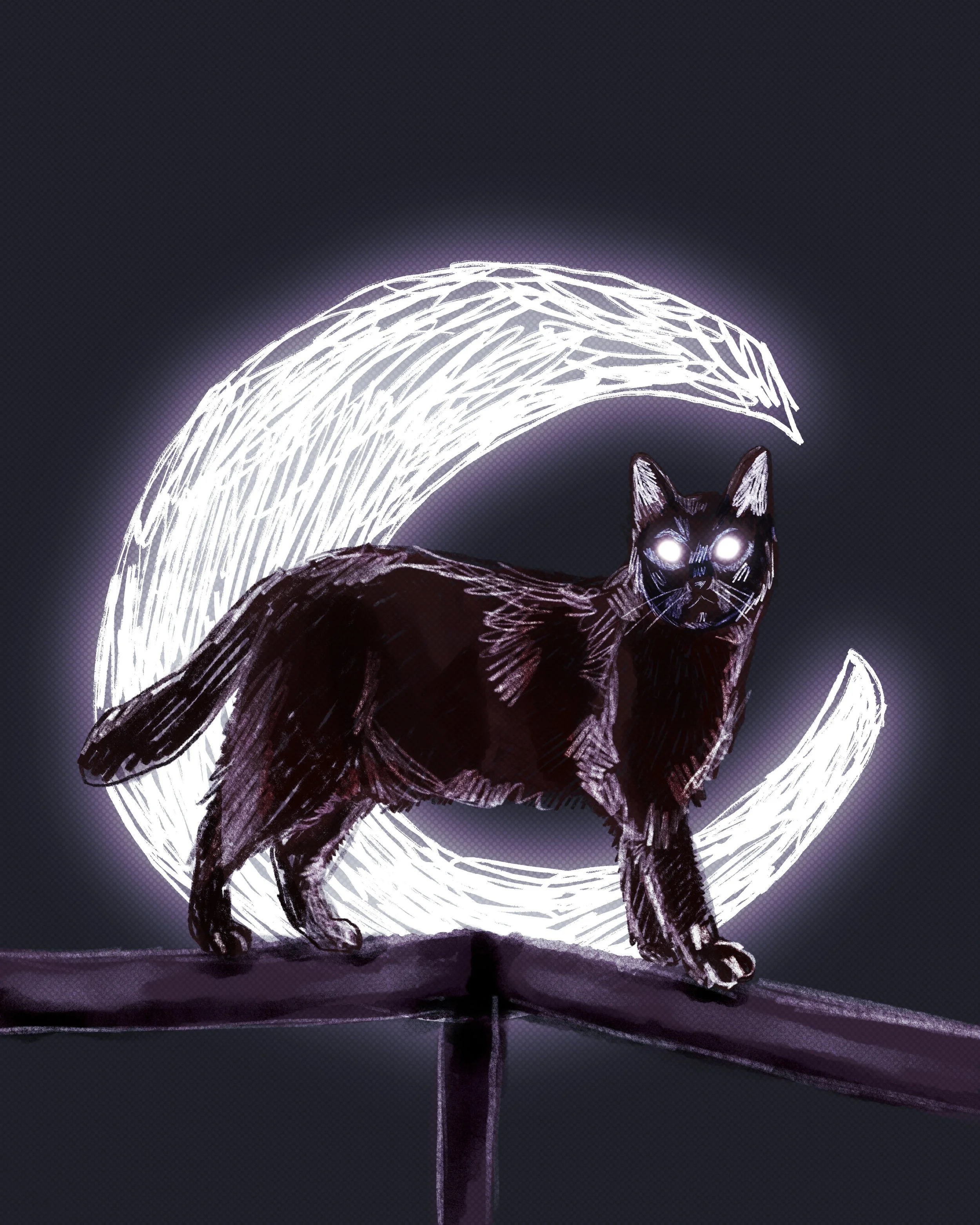 2025_Midnight_Black_Cat_Purple_Hue_3240x4050.JPG