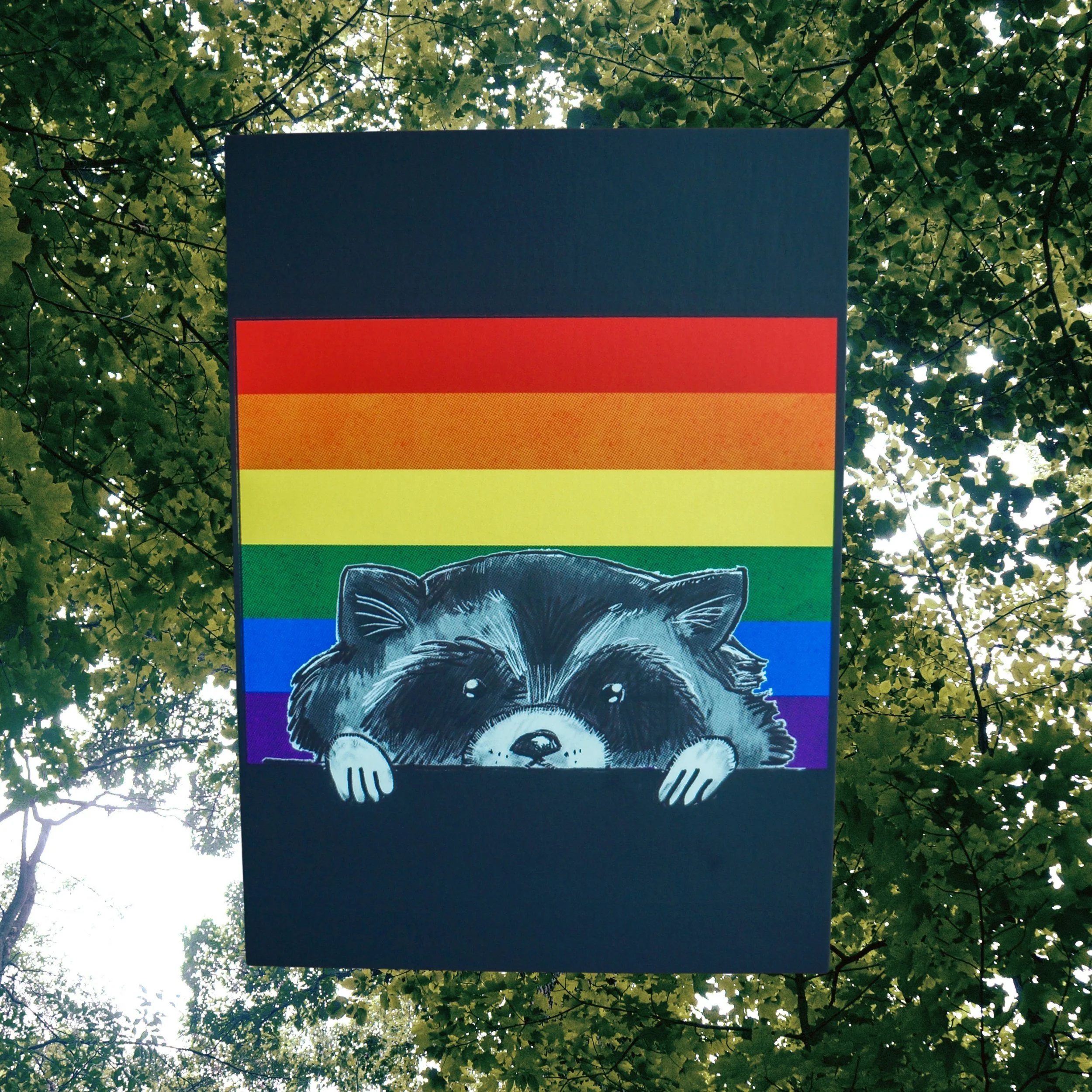 Pride Raccoon Medium Print