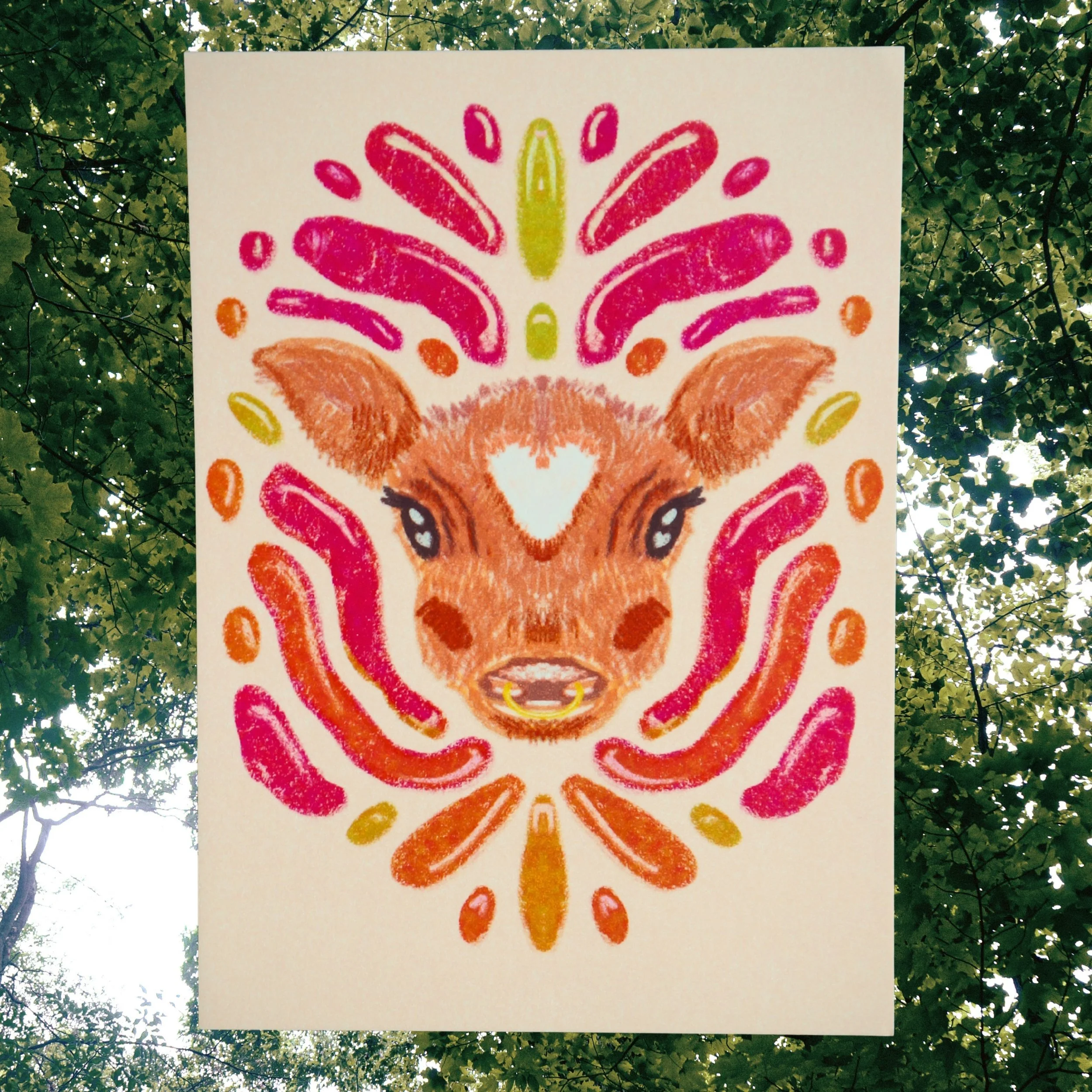 Cute Cow Medium Print