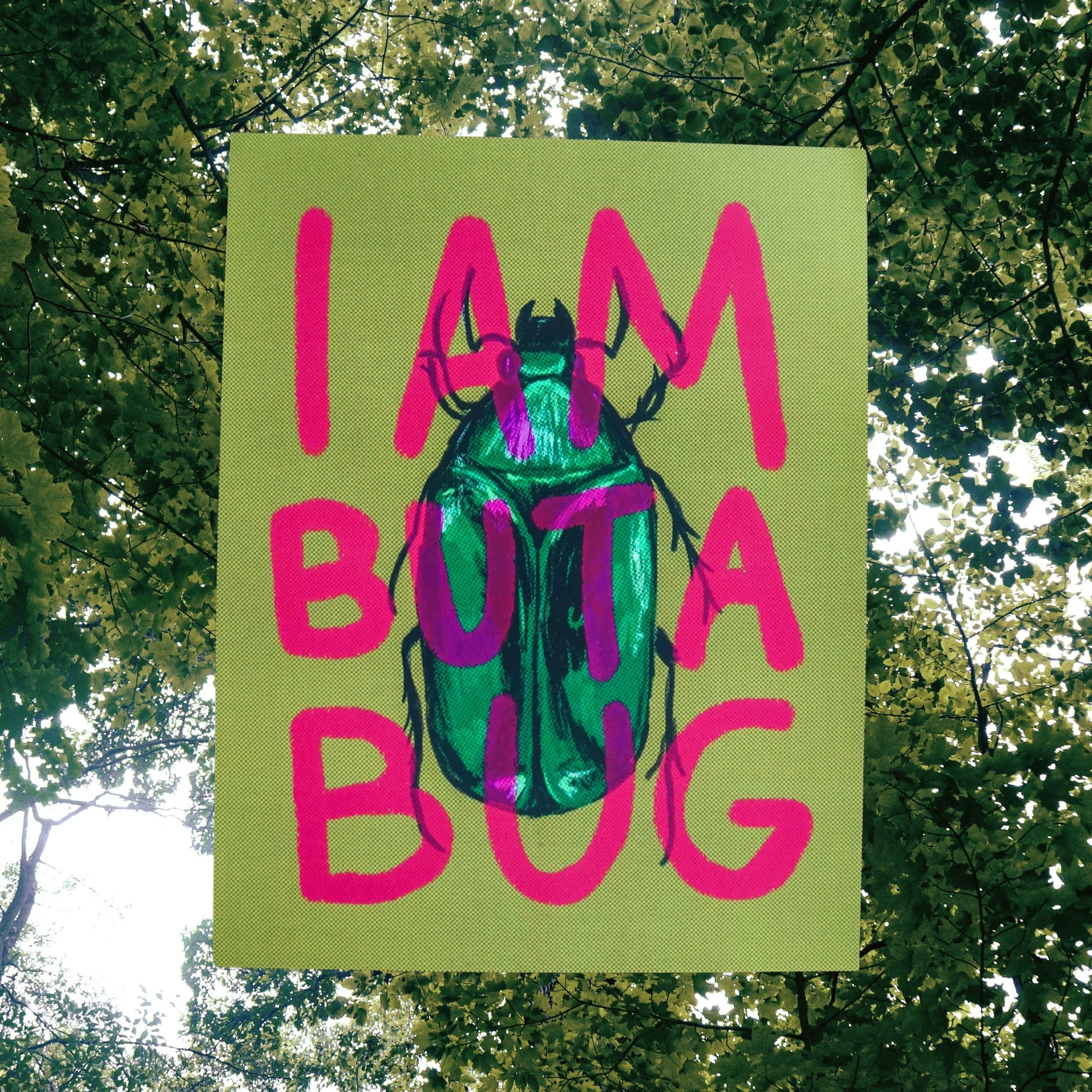 I Am But A Bug Large Print