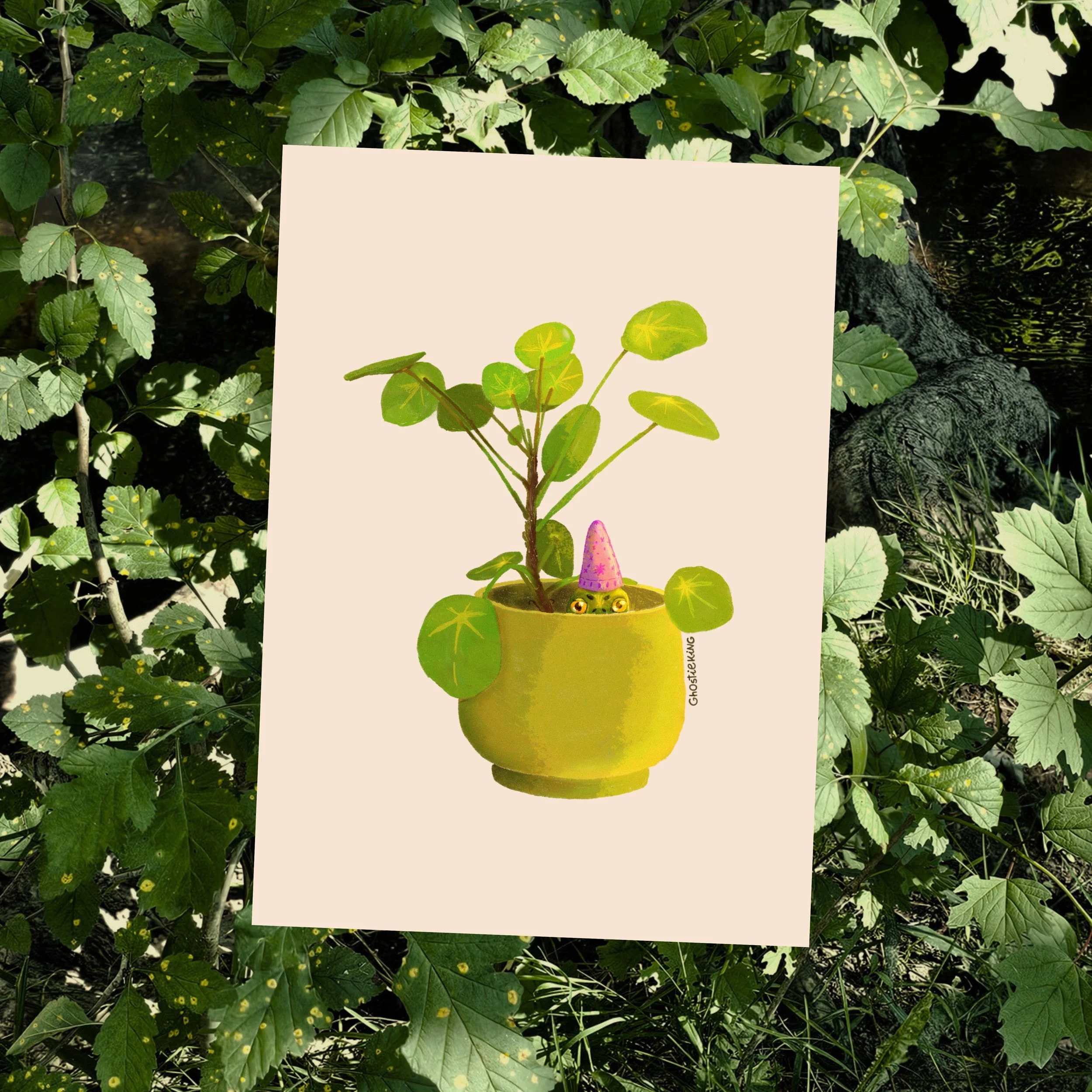 Frog in Plant Pot Medium Print
