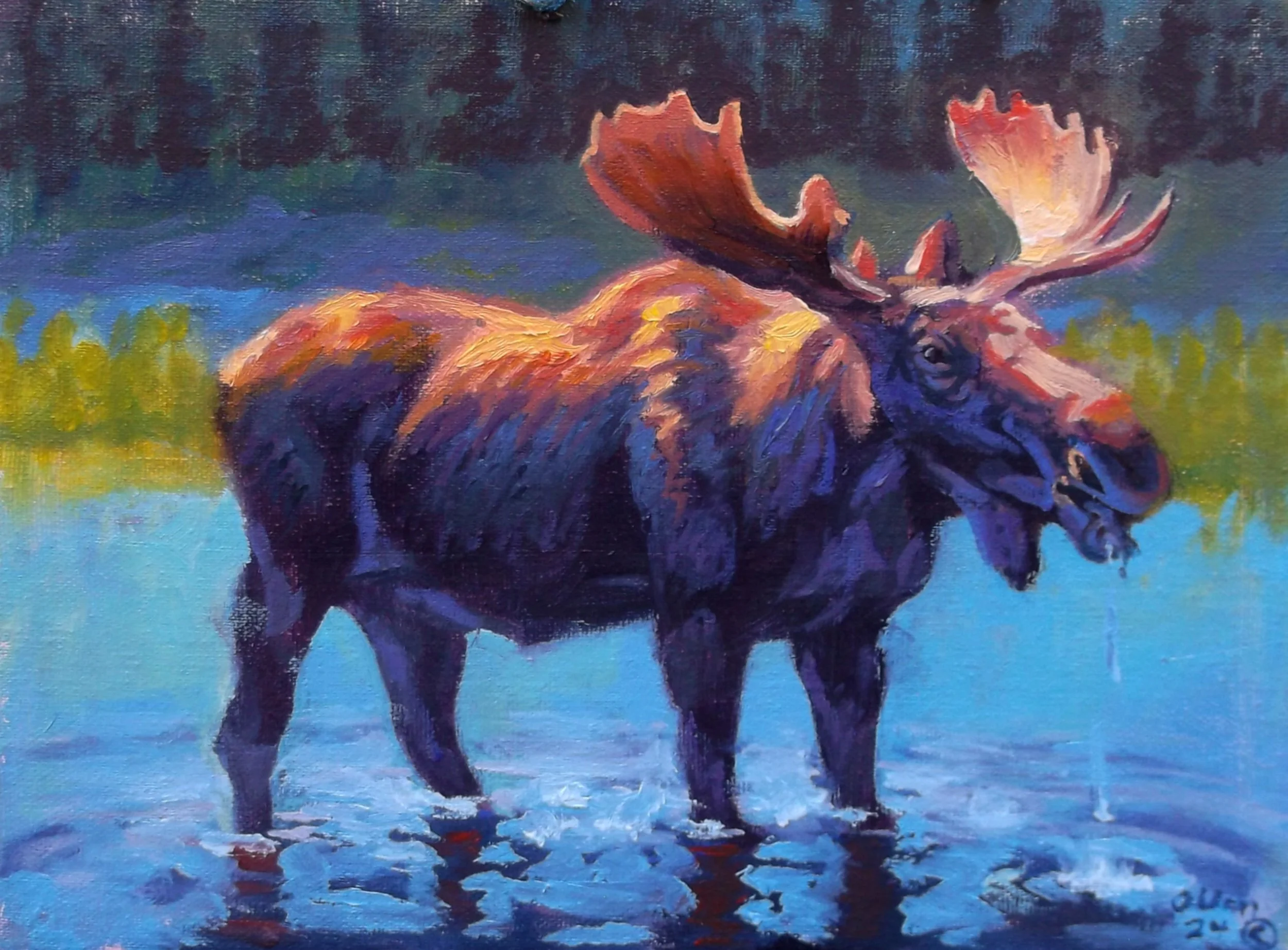 Majestic Moose Oil Painting on Canvas – 8x10 inches