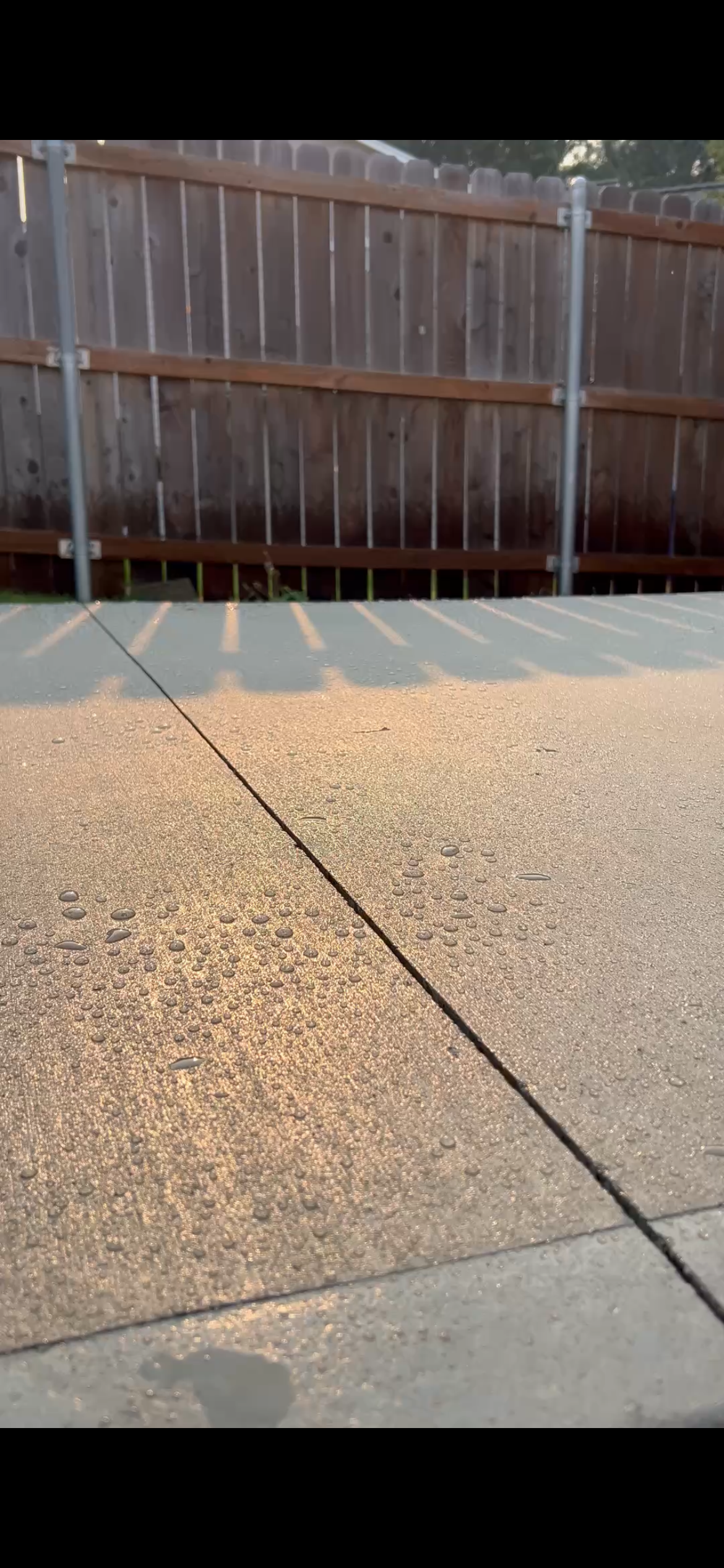 Close-up of a wet concrete patio with small water droplets, a black line crack, and a cast shadow of a plant or object. In the background, there is a wooden fence with metal posts.