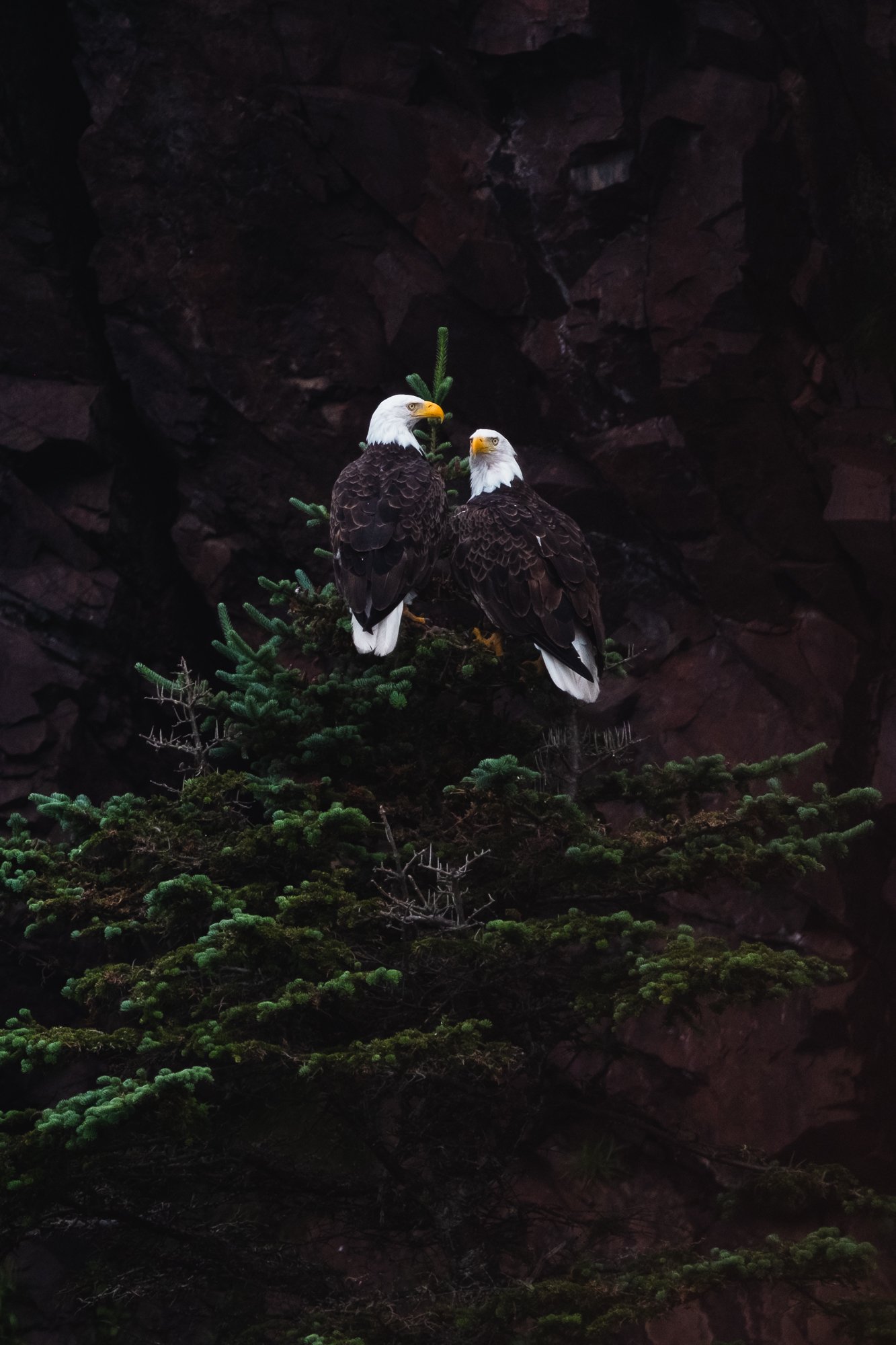DSCF9200-5.jpg