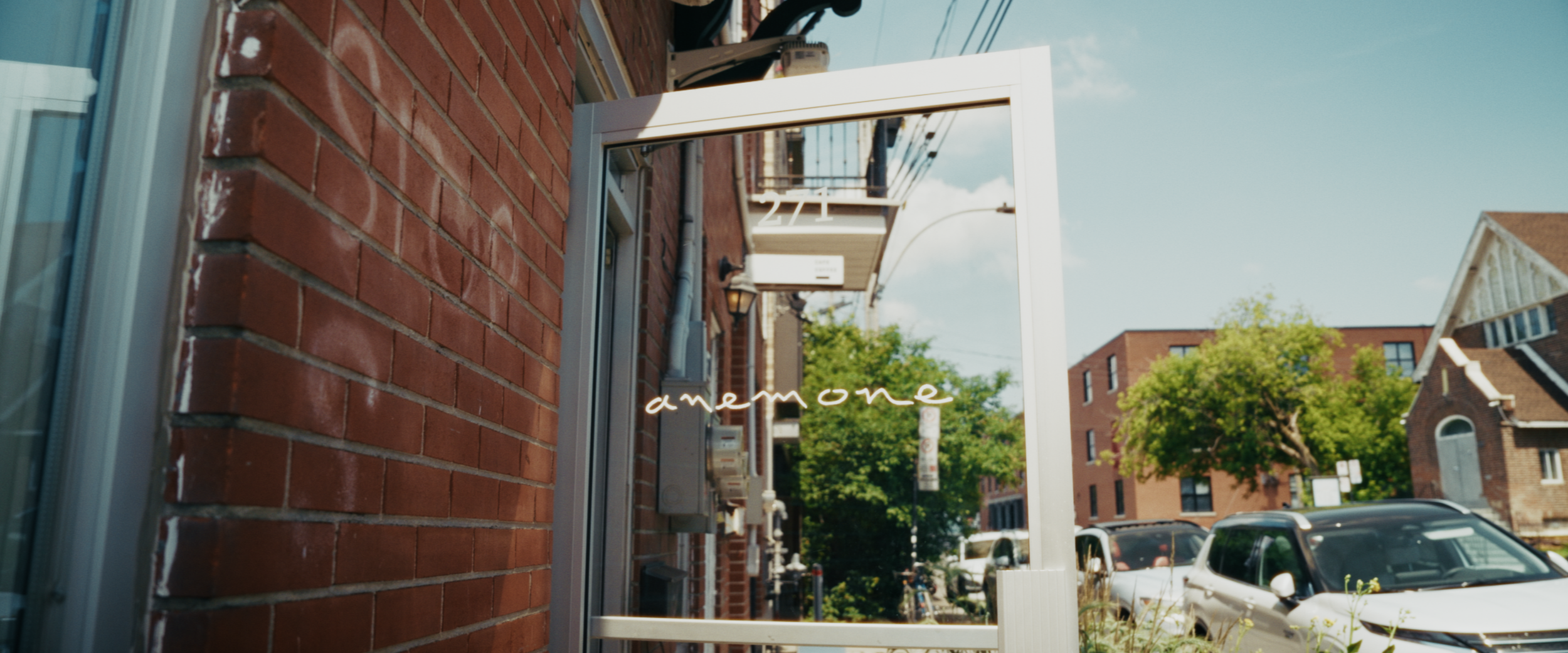 Minh Phat - Maggie Parise Video 11.png