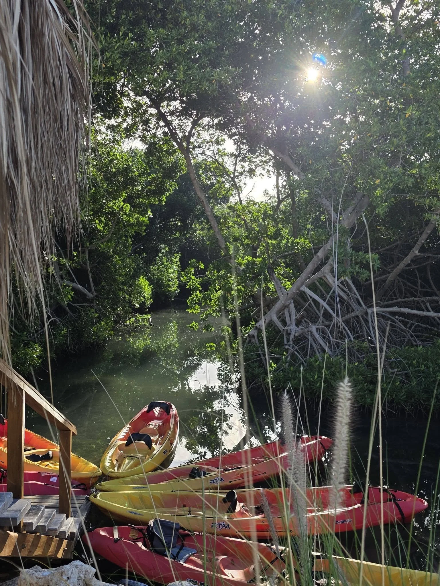 Float through the peaceful mangroves in Curacao for a colorful and tranquil break from the beach and sun. See unique wildlife, learn about the ecosystem and see a different view of an amazing country.