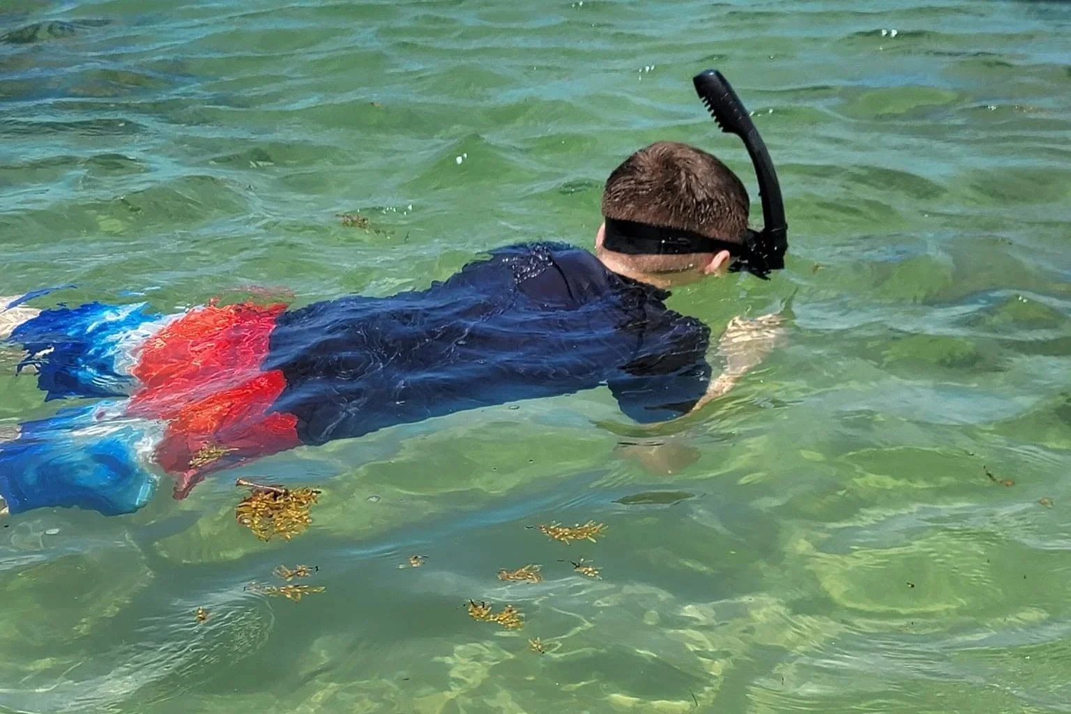 So easy to snorkel right off of your hotel beach in Punta Cana, no excursions needed!