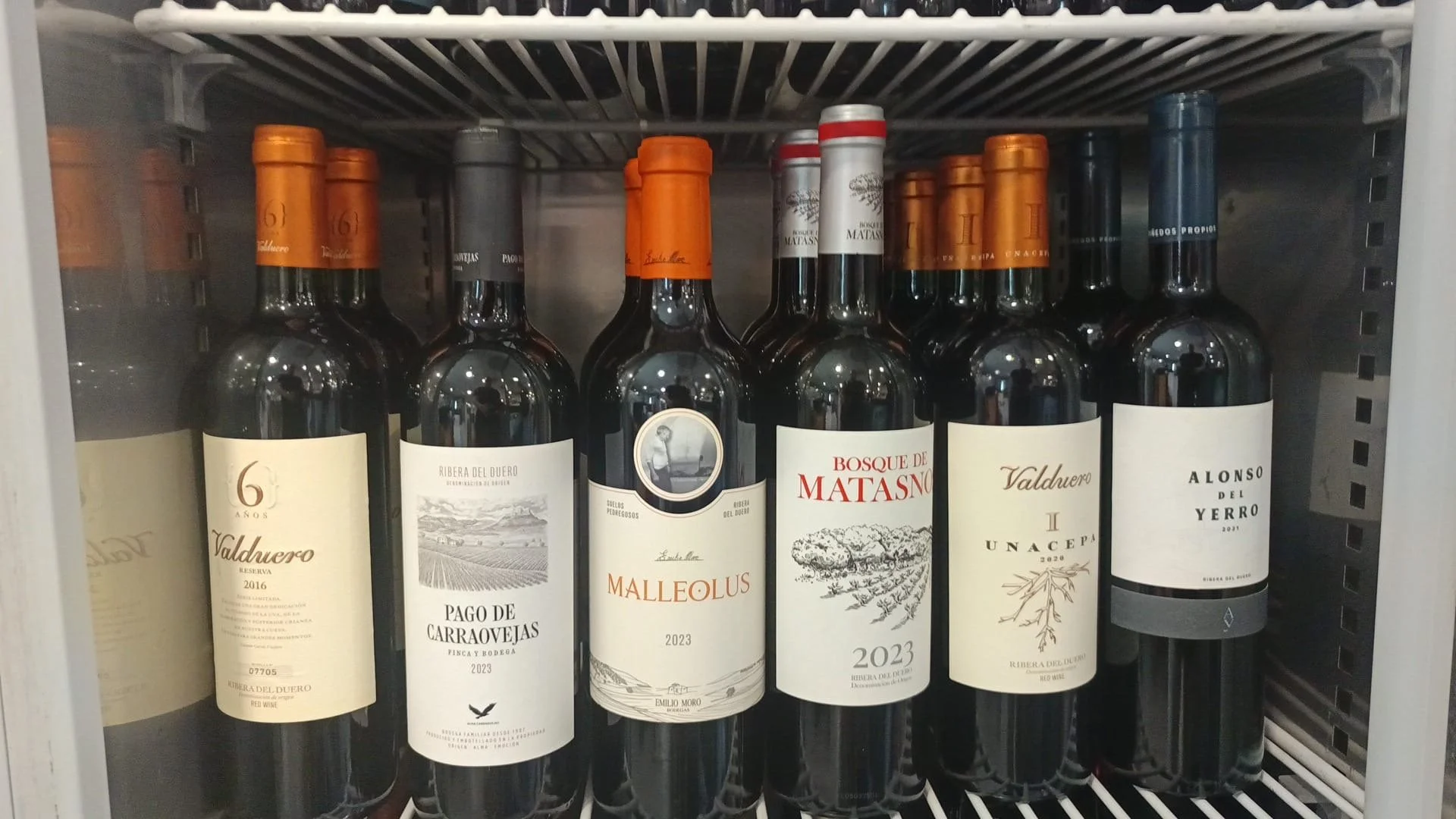 Vinos Tintos