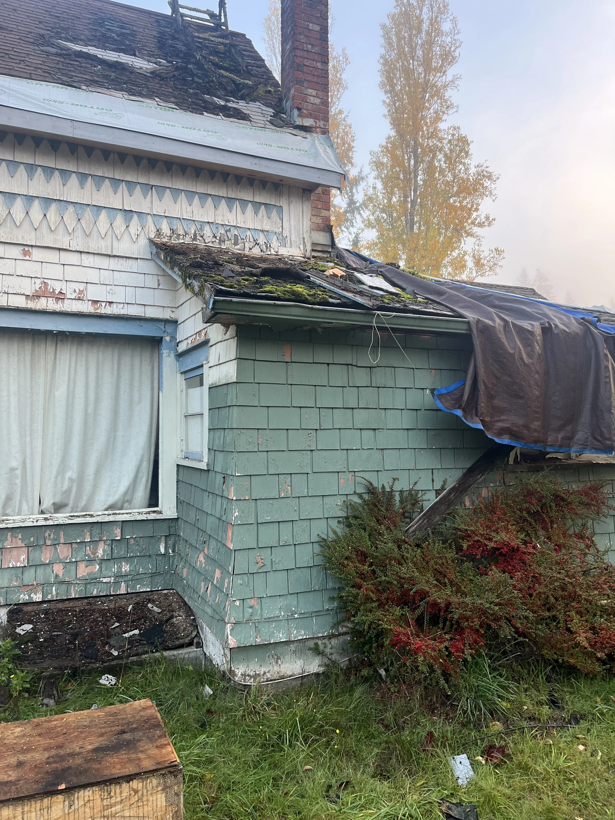 The house shows visible damage and signs of neglect, including peeling paint, moss, and damage to the siding and roof. The window has curtains inside, and the yard has overgrown grass and debris, including a piece of lumber near the house and a falle