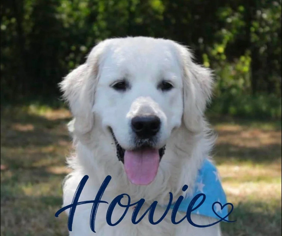 Can I be honest about something...

What would Howie do?

Howie would get excited to see the people he loved, every single time, as if it was the first time.

So that is my mission today. To greet the people in my life with a little more of that joy,