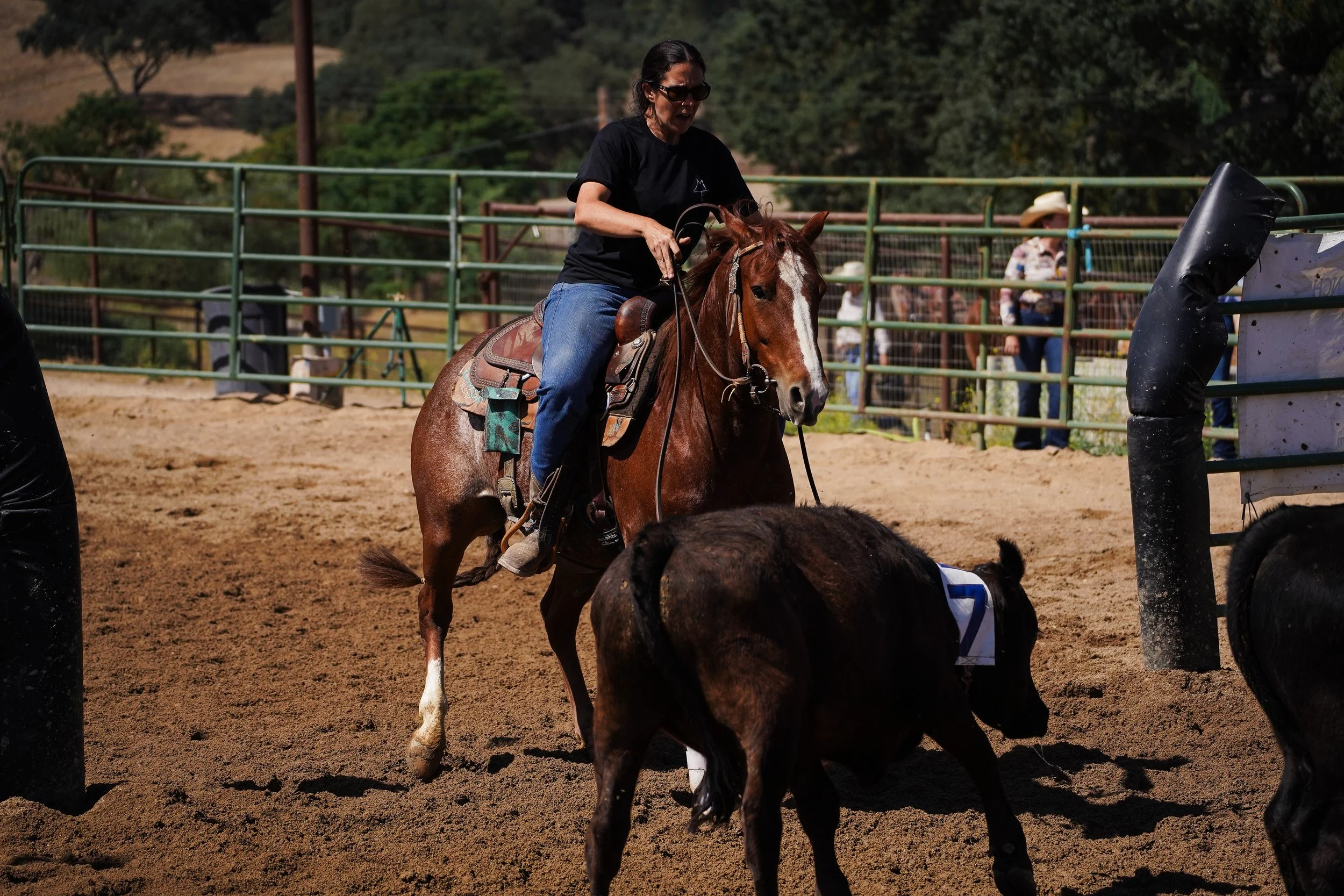 Woman riding a brown horse in an outdoor arena with a dirt surface, surrounded by a green fence, and other animals and people in the background.