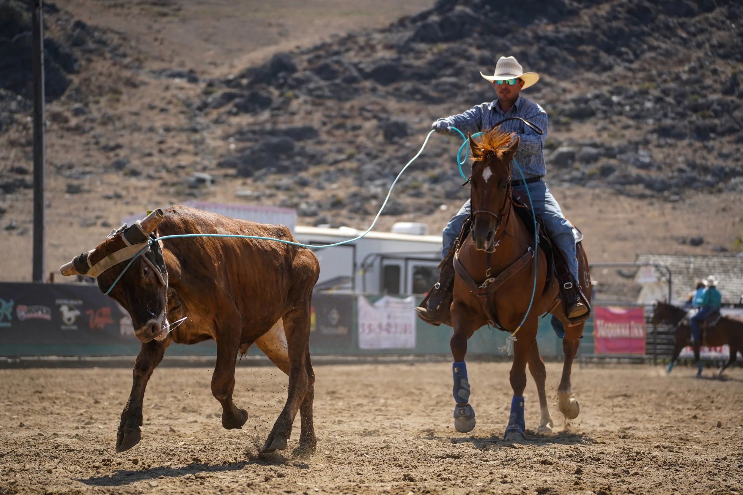 A cowboy riding a horse during a rodeo event in a dry, mountainous area. The cowboy is wearing a cowboy hat, sunglasses, a striped shirt, and jeans, with a lasso in hand. There is another horse in the foreground and a fenced arena with banners and pe