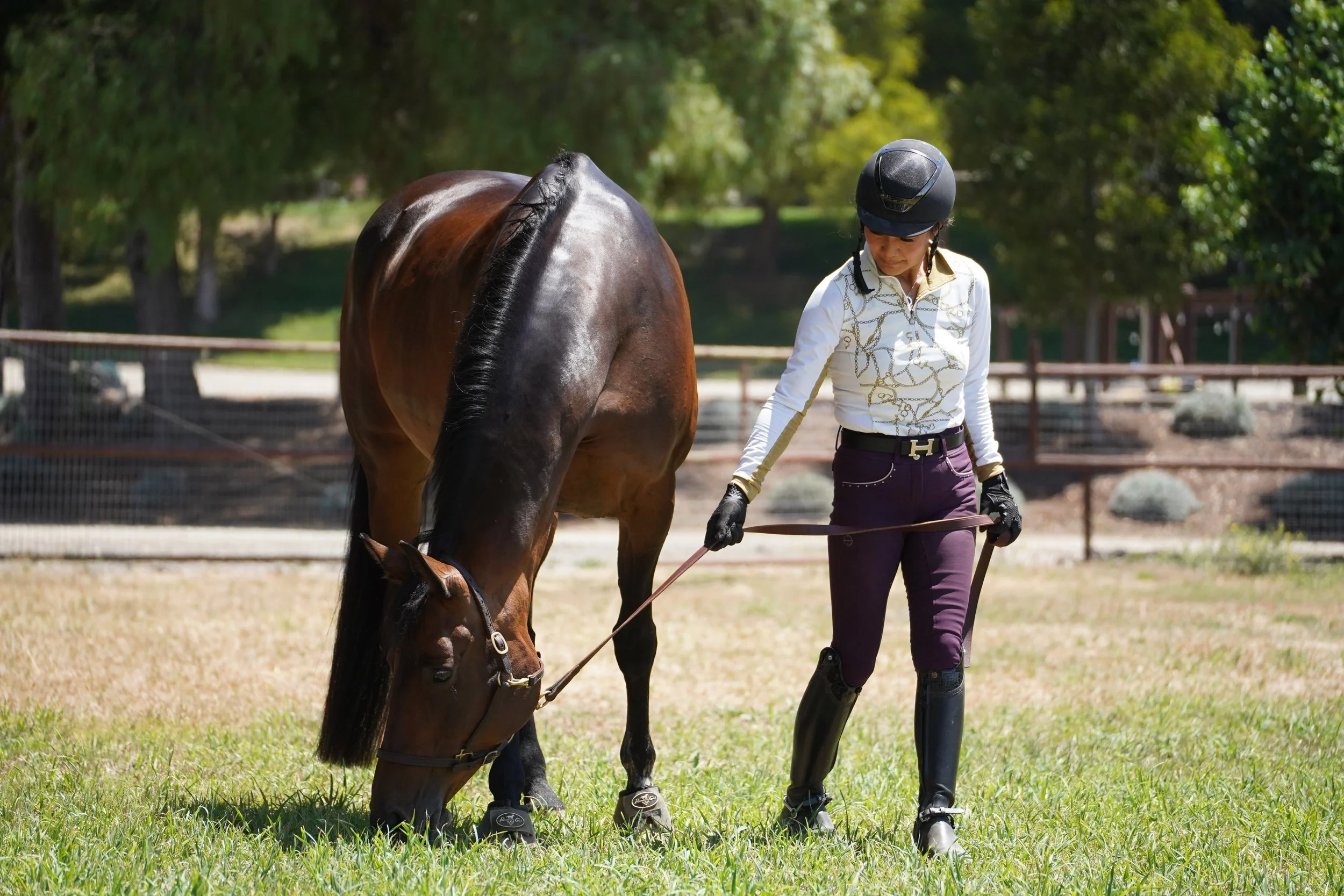 Woman in riding gear and helmet leading a brown horse in a grassy outdoor riding area with trees in the background.