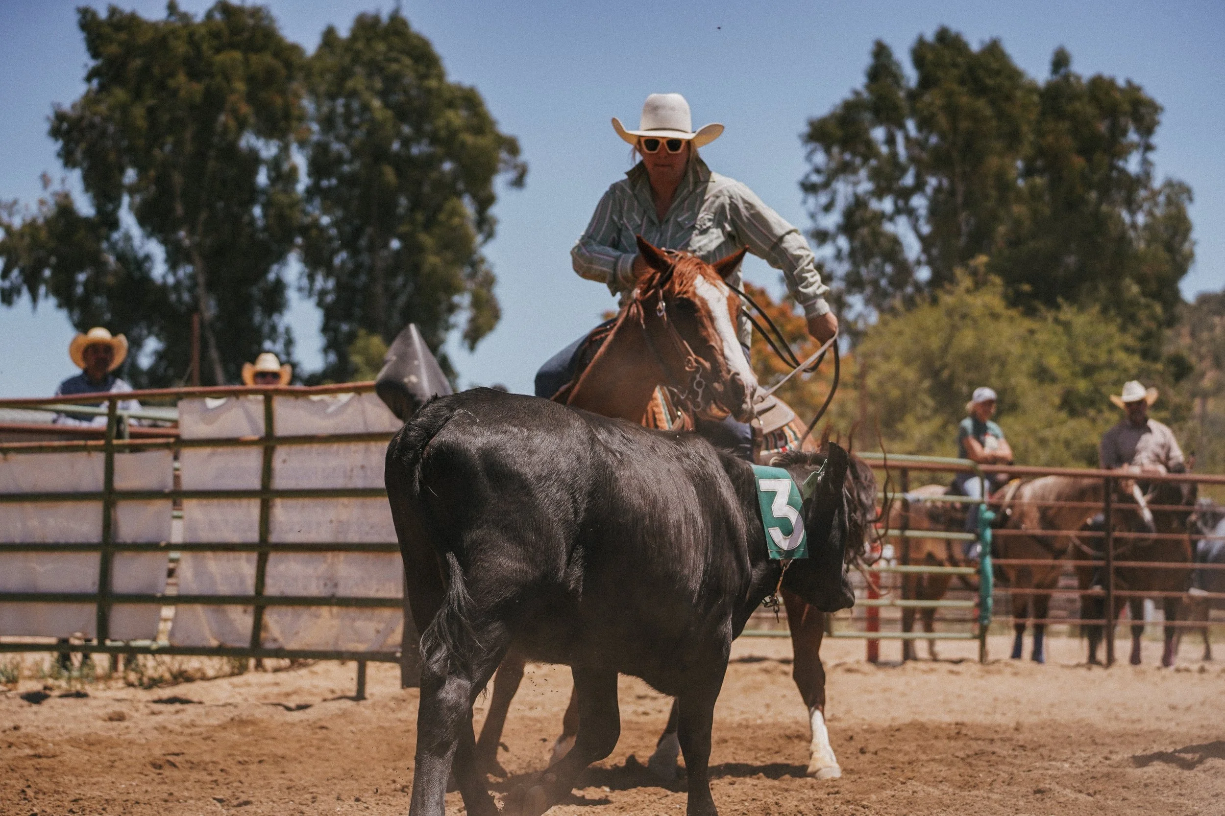 A person riding a horse in a rodeo arena with other riders and spectators in the background.