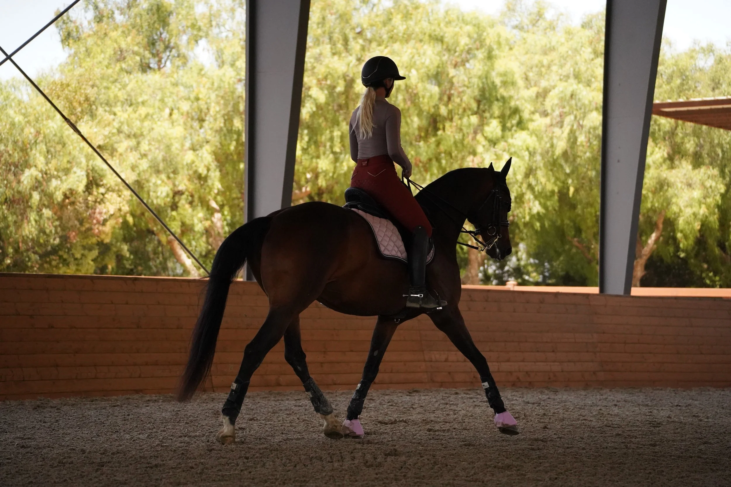 A female rider in equestrian attire, including a black helmet, long-sleeved shirt, and red riding pants, sits atop a brown horse inside an indoor riding arena with a sand floor. The arena has large windows showing trees with green leaves.