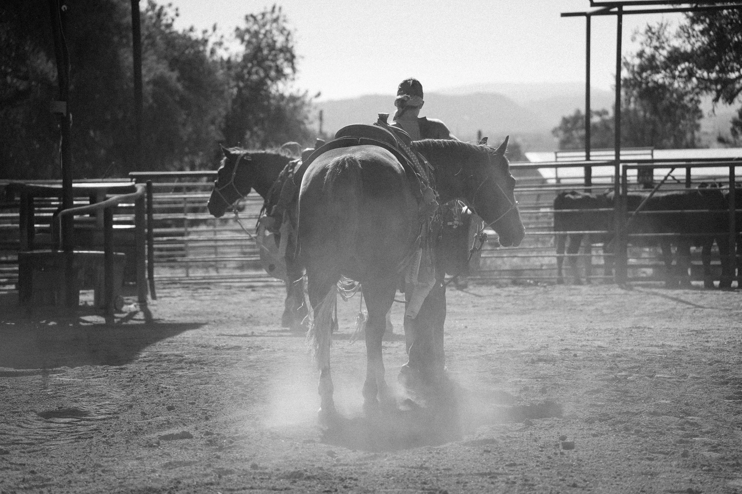 Black and white photo of a person riding a horse in an outdoor arena, with trees and a metal fence in the background.