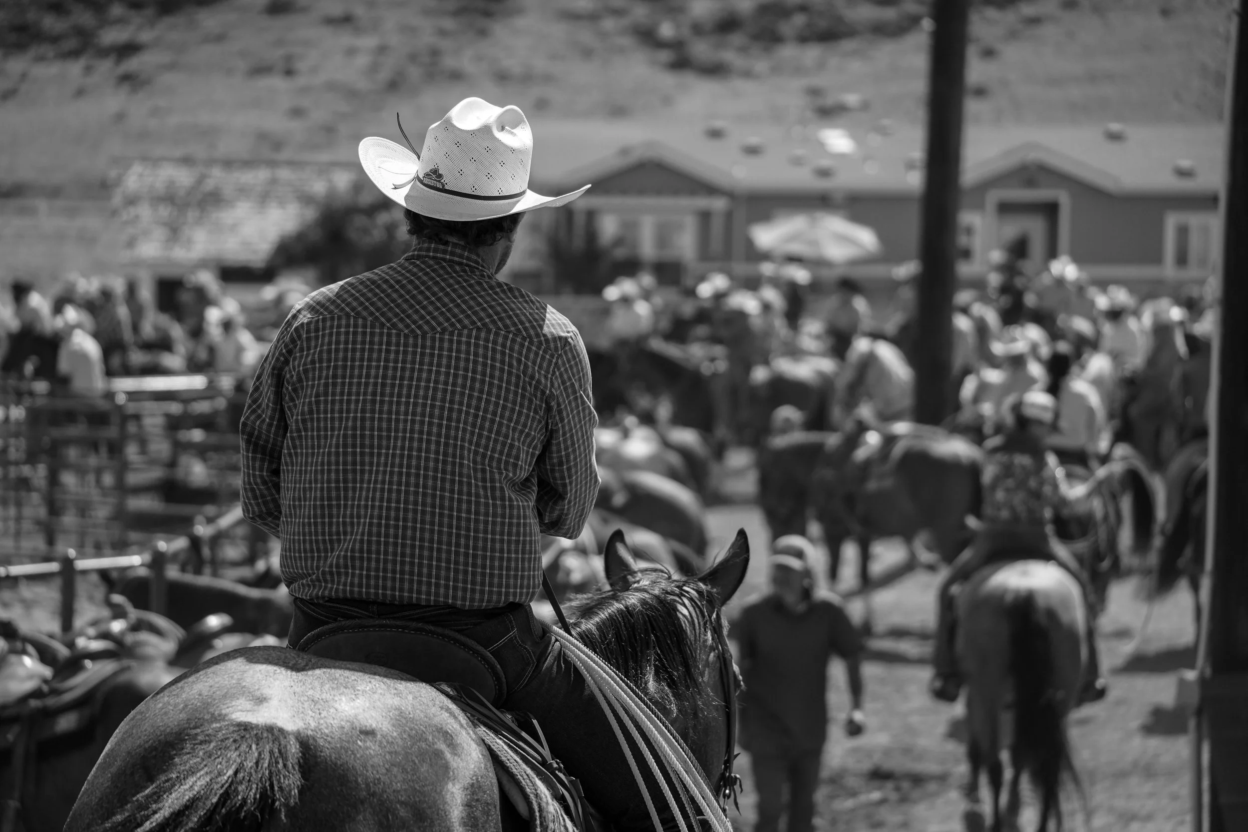 A man wearing a cowboy hat and plaid shirt sitting on a horse, overlooking a crowd at an outdoor event with houses in the background.