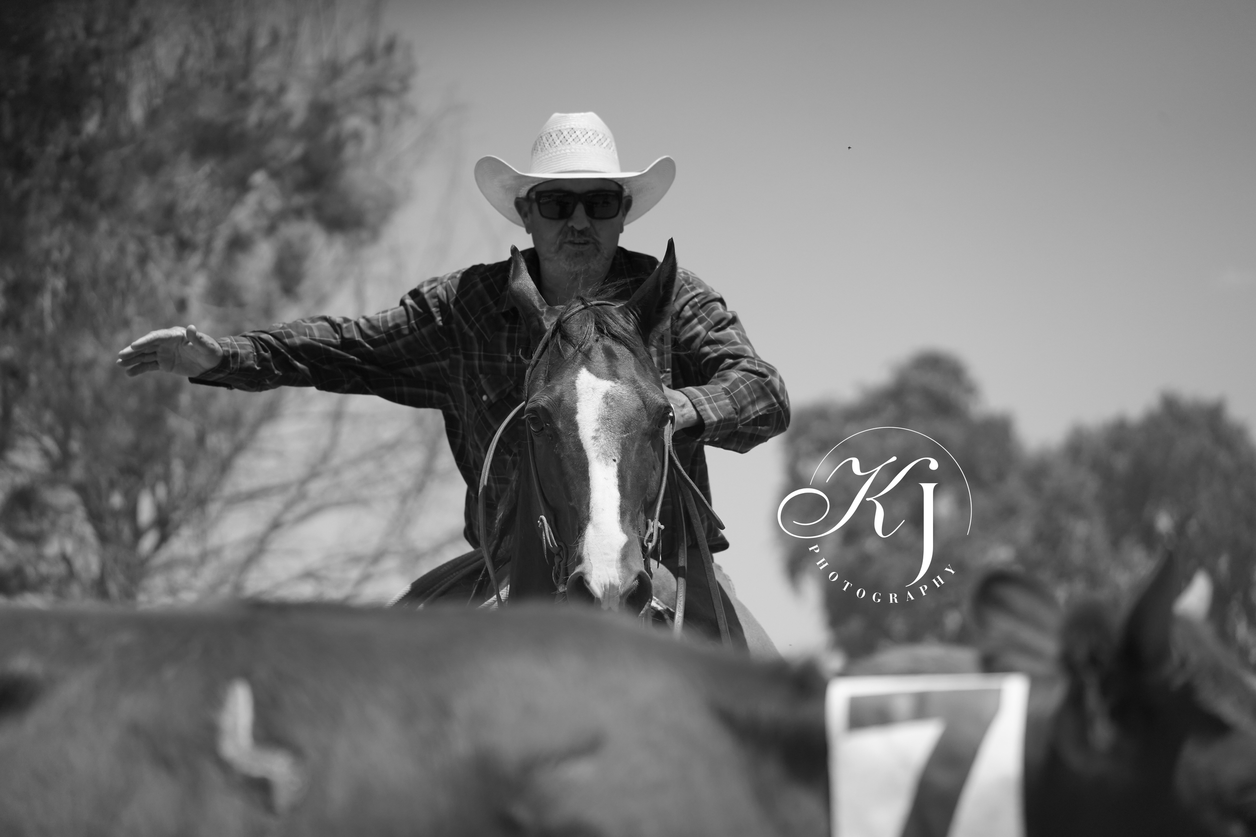 A man wearing a cowboy hat and sunglasses riding a horse, with trees and a clear sky in the background.