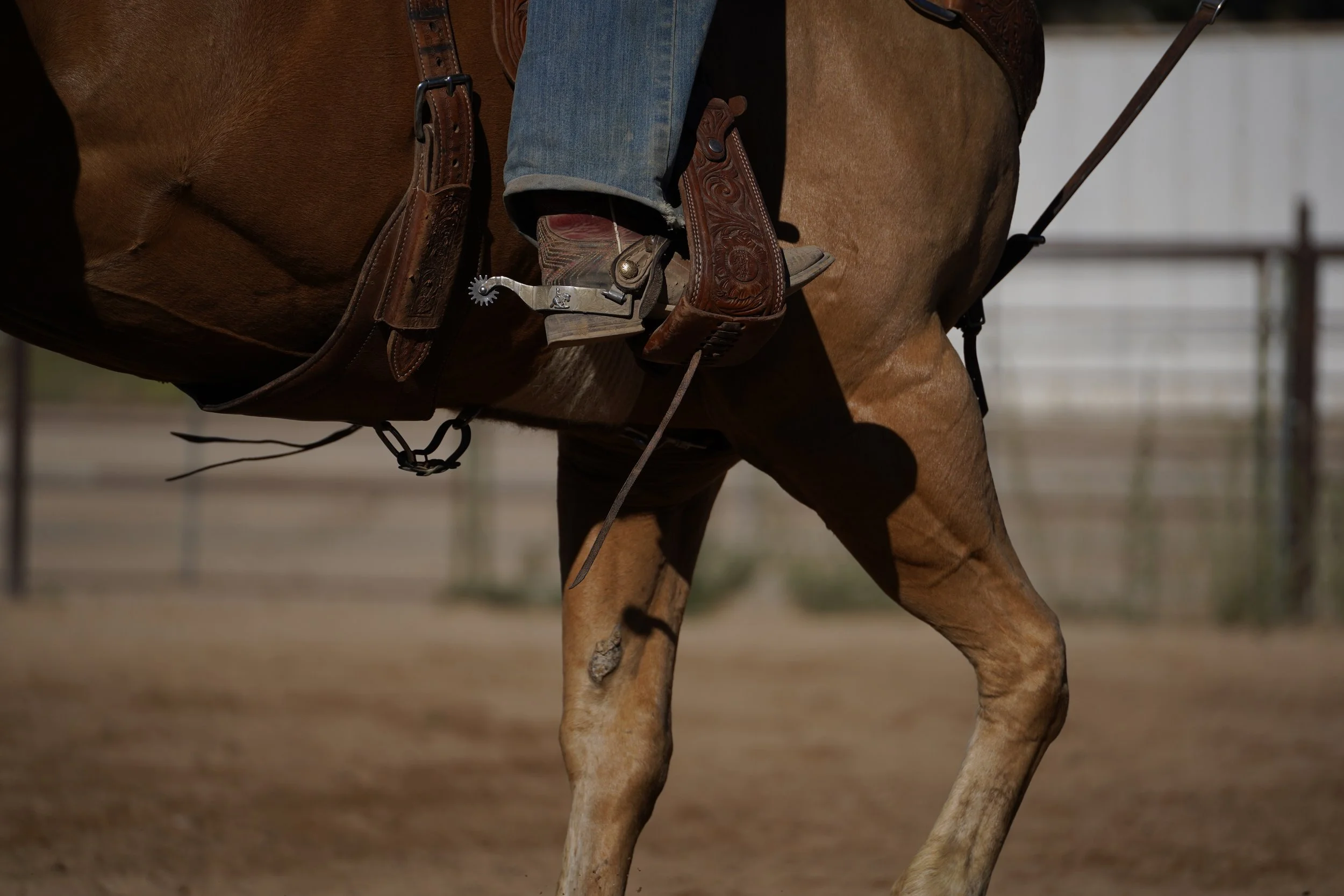 Close-up of a person riding a horse, focusing on the rider's foot in a cowboy boot in a stirrup, and part of the horse's flank and leg.