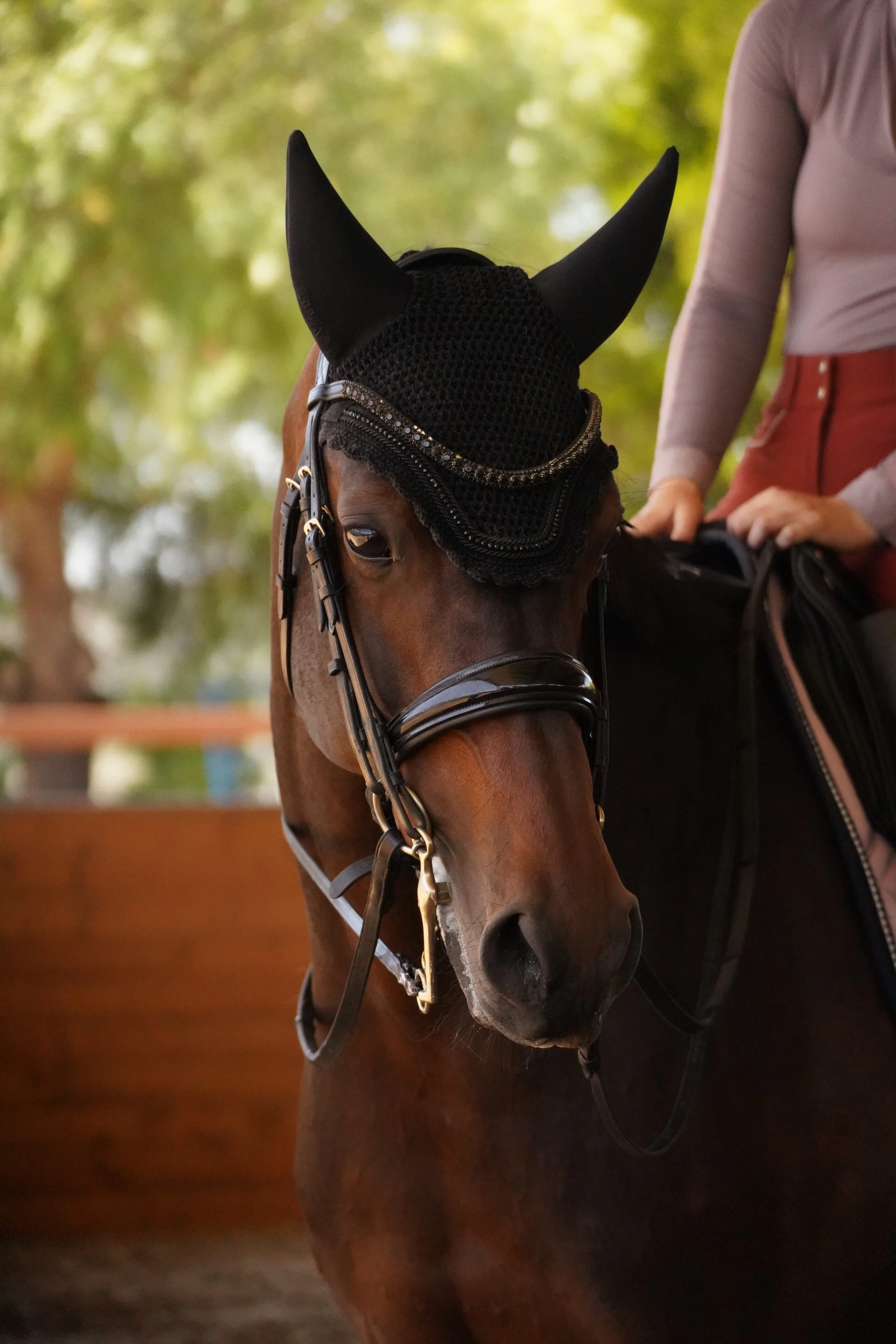 A person riding a brown horse equipped with a black ear bonnet with decorative trim, outdoors with trees in the background.