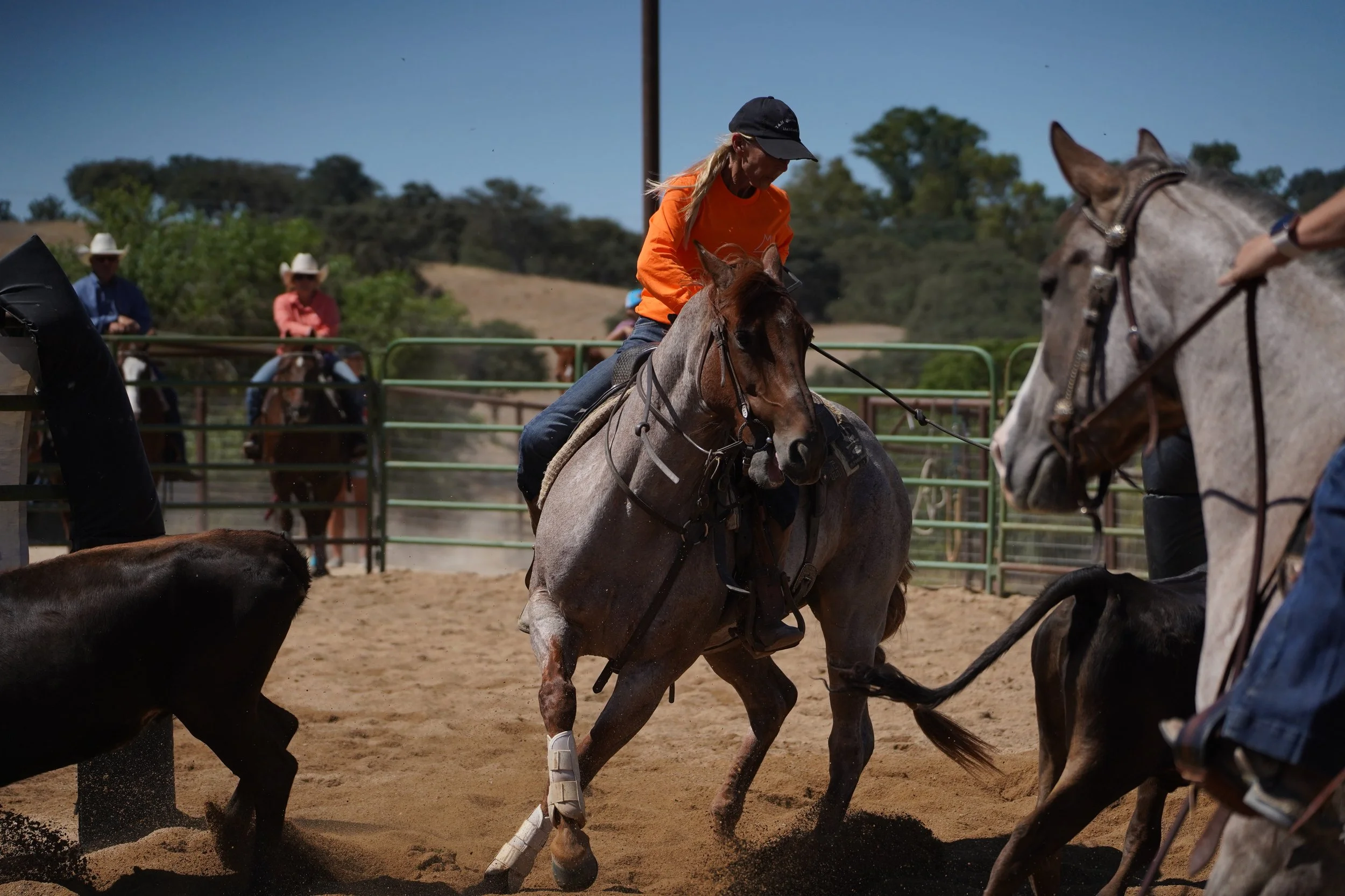 A woman riding a gray horse in a rodeo arena, with other participants and spectators in the background.