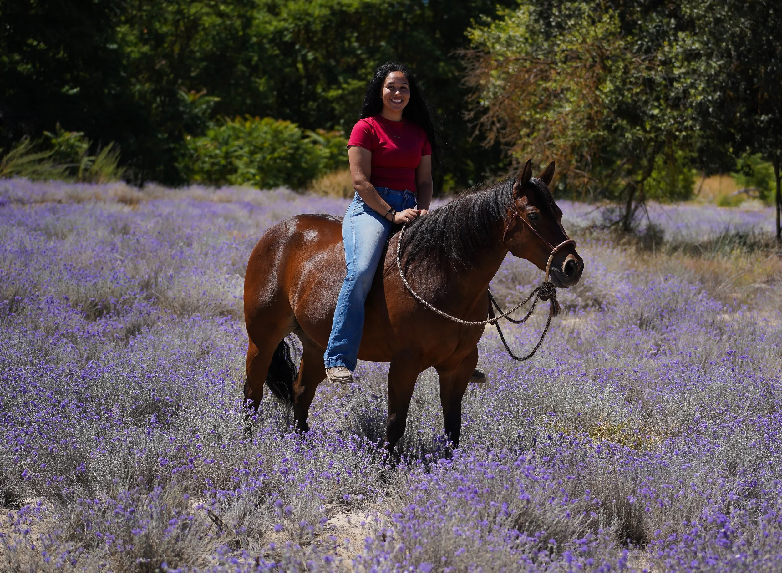 A woman riding a brown horse through a field of purple flowers, with trees in the background.