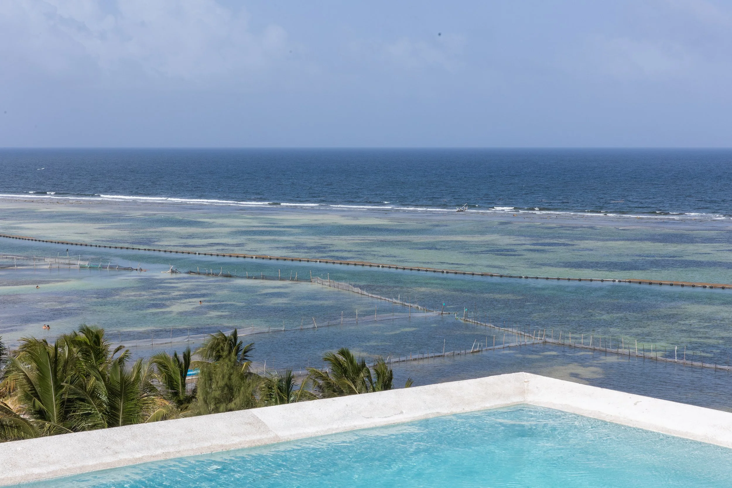 Real estate photography of view of a beach and ocean with small waves, some swimming and boats in the distance, palm trees in the foreground, and a swimming pool with a white border in the lower part of the image, at Mahahual.