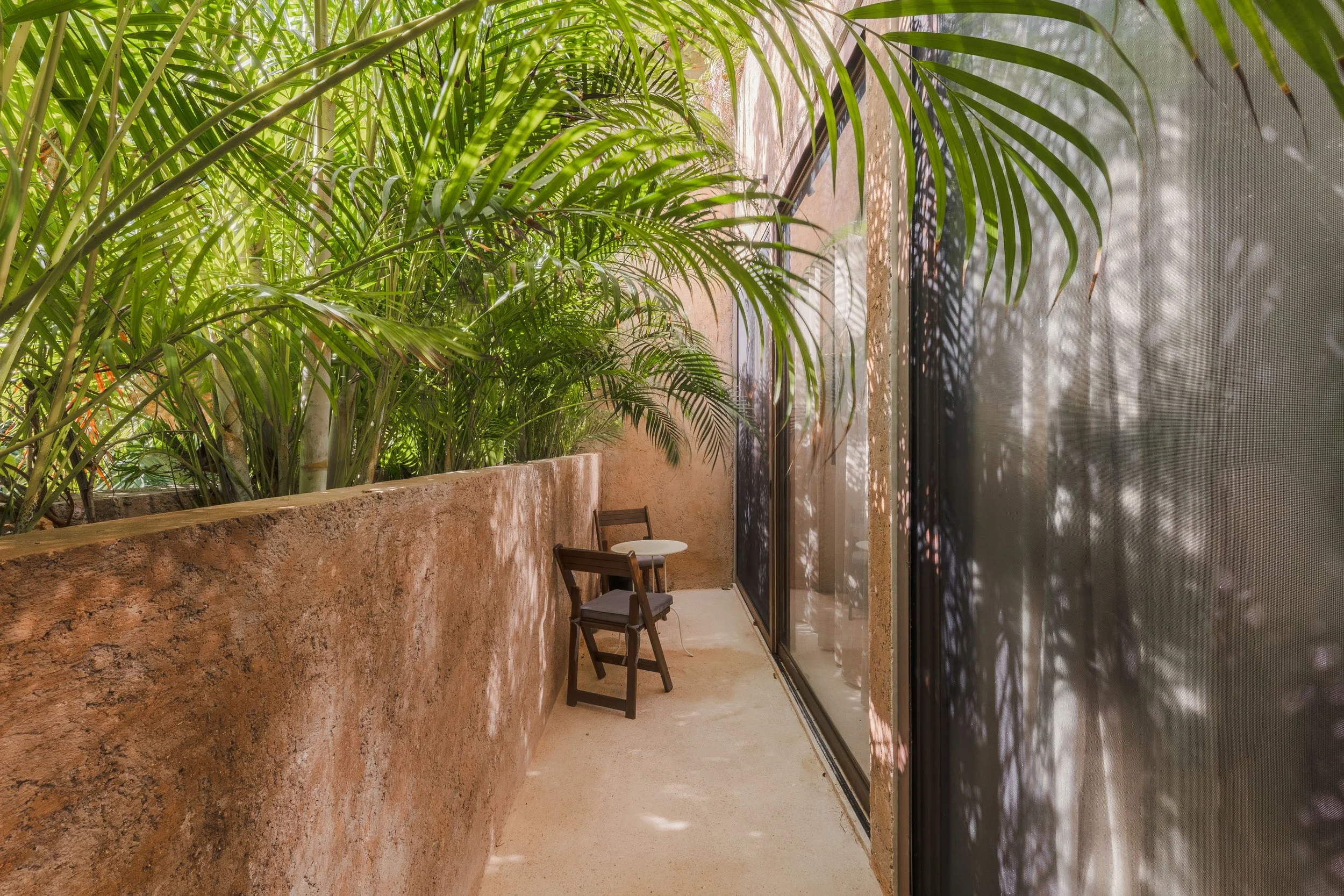 Real estate photography of a hallway with a large planter filled with tropical green plants on the left side, and a glass wall on the right side casting shadows of the plants inside, at Tulum.