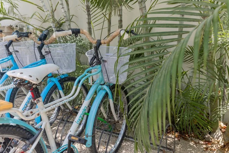 Real estate photography of two blue and white bicycles parked next to green tropical plants with long fronds, at Tulum