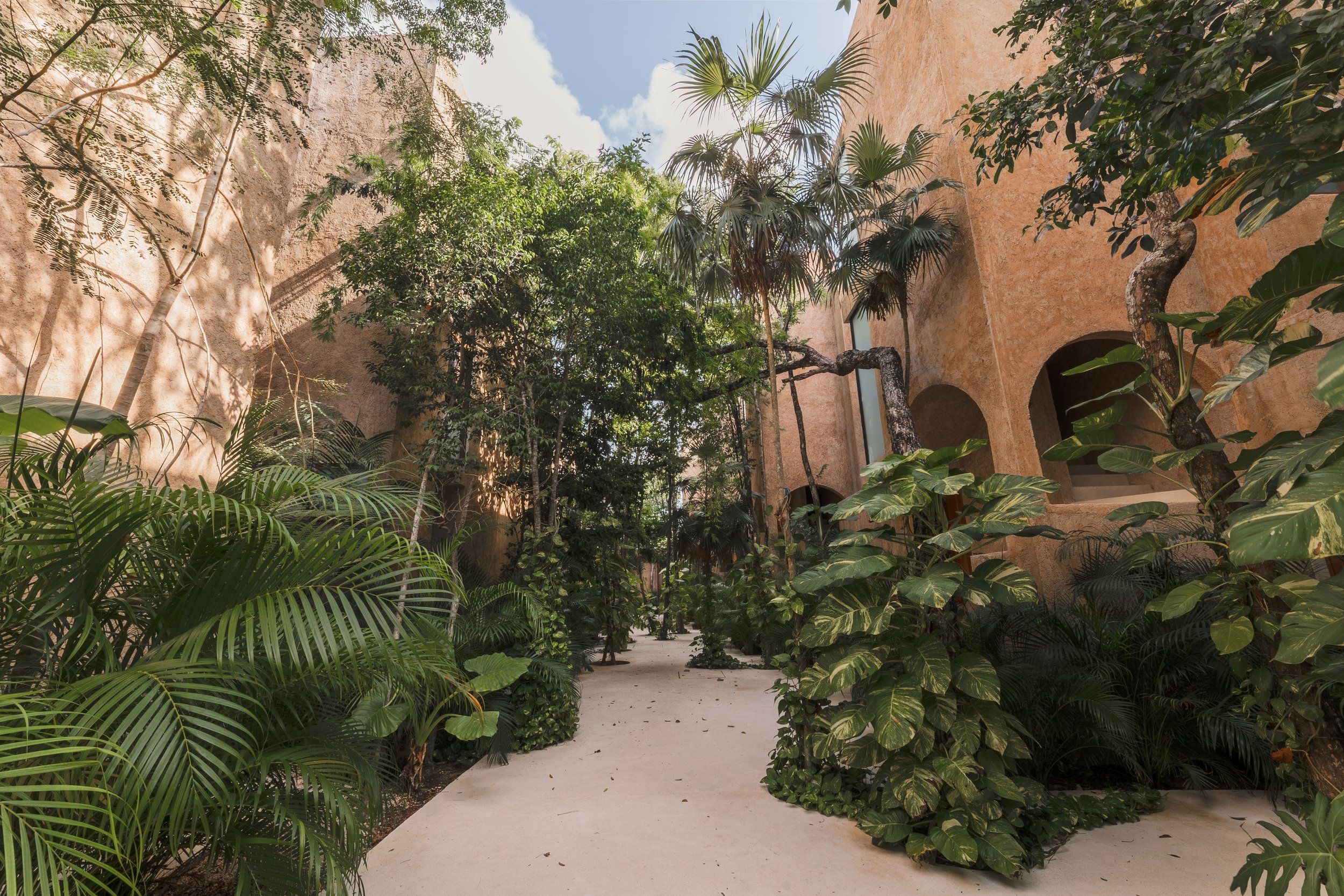 Real estate photography of indoor garden with tall trees, lush green foliage, and arched windows, featuring sandy pathways and earthy walls, at Tulum.
