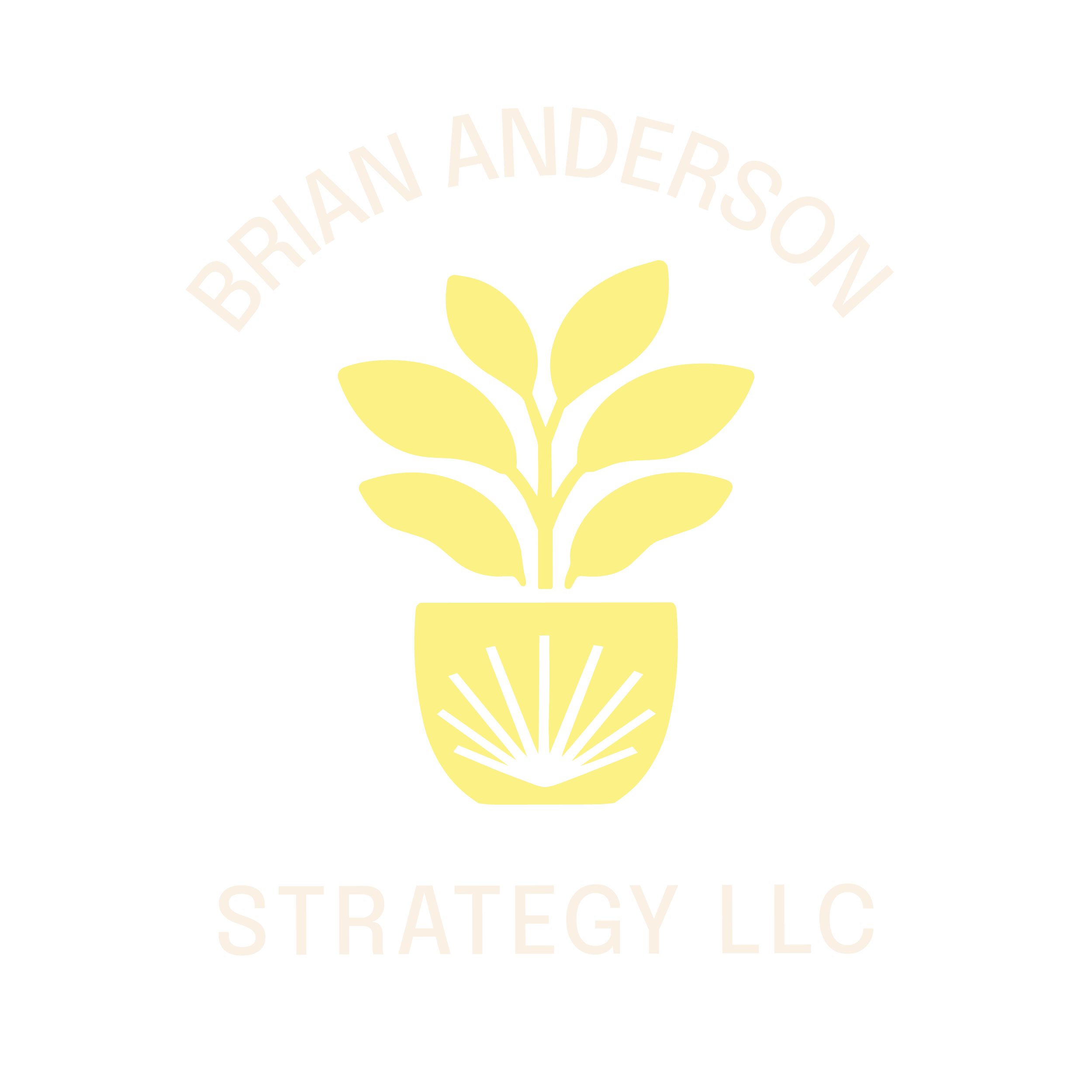 Logo of Strategy LLC with a yellow stylized plant or leaf and the words 'Brahian Anderson' curved above it.