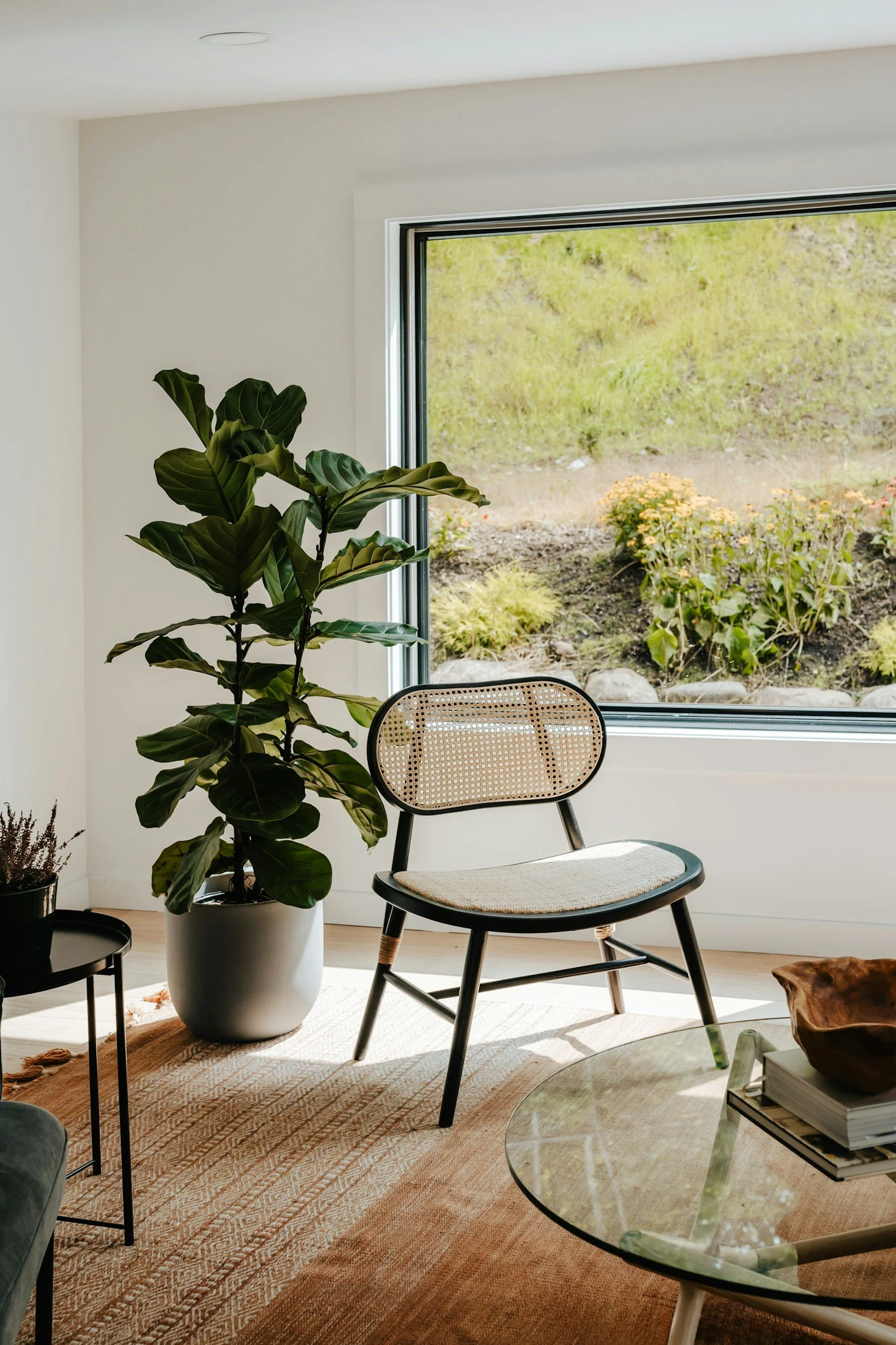 A cozy living room with a large potted plant, a chair with a cane back, a glass coffee table with books and a wooden bowl, and a window looking out onto a garden with yellow flowers and green grass.