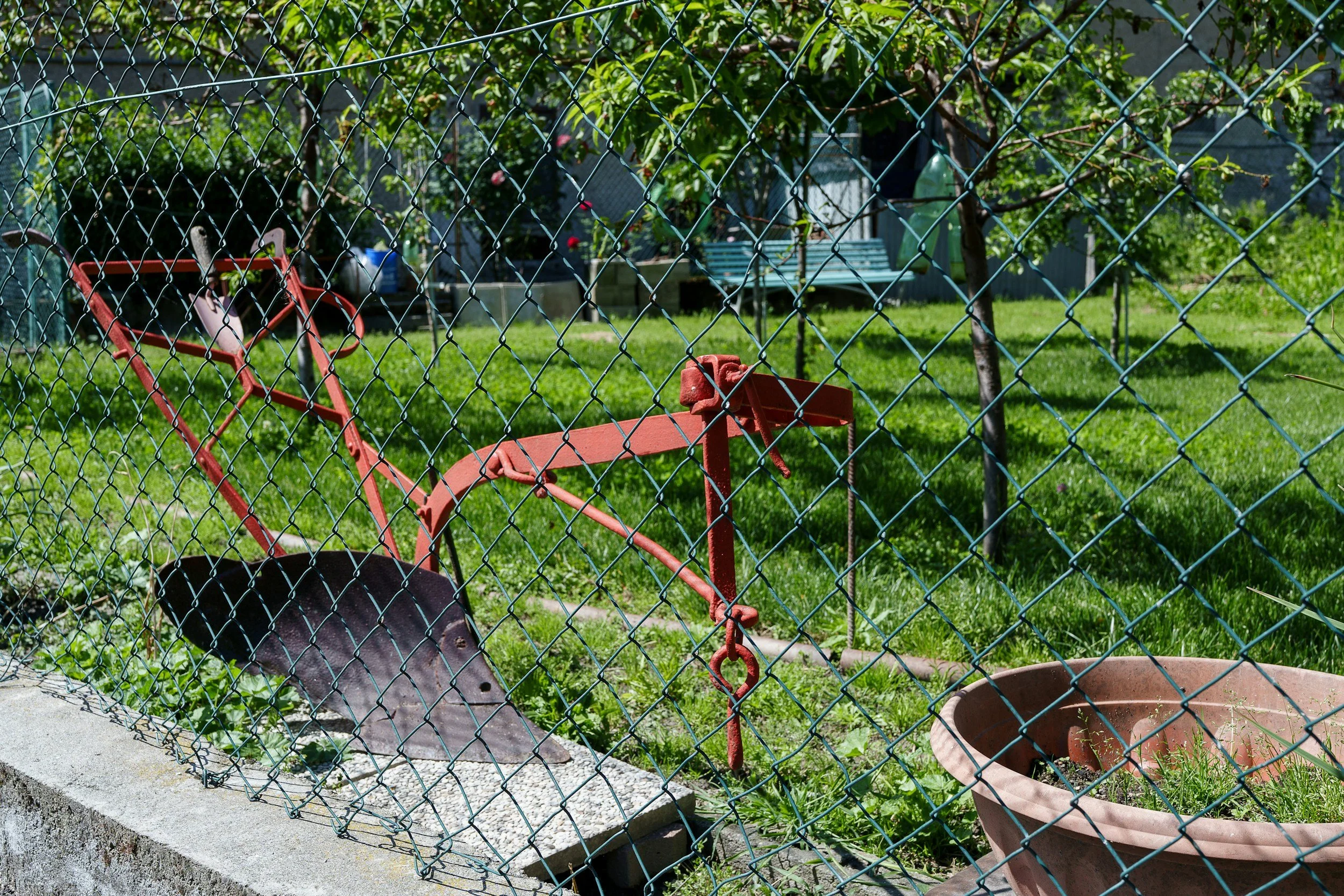 A garden scene viewed through a chain-link fence with a red wheelbarrow, a watering can, and a potted plant