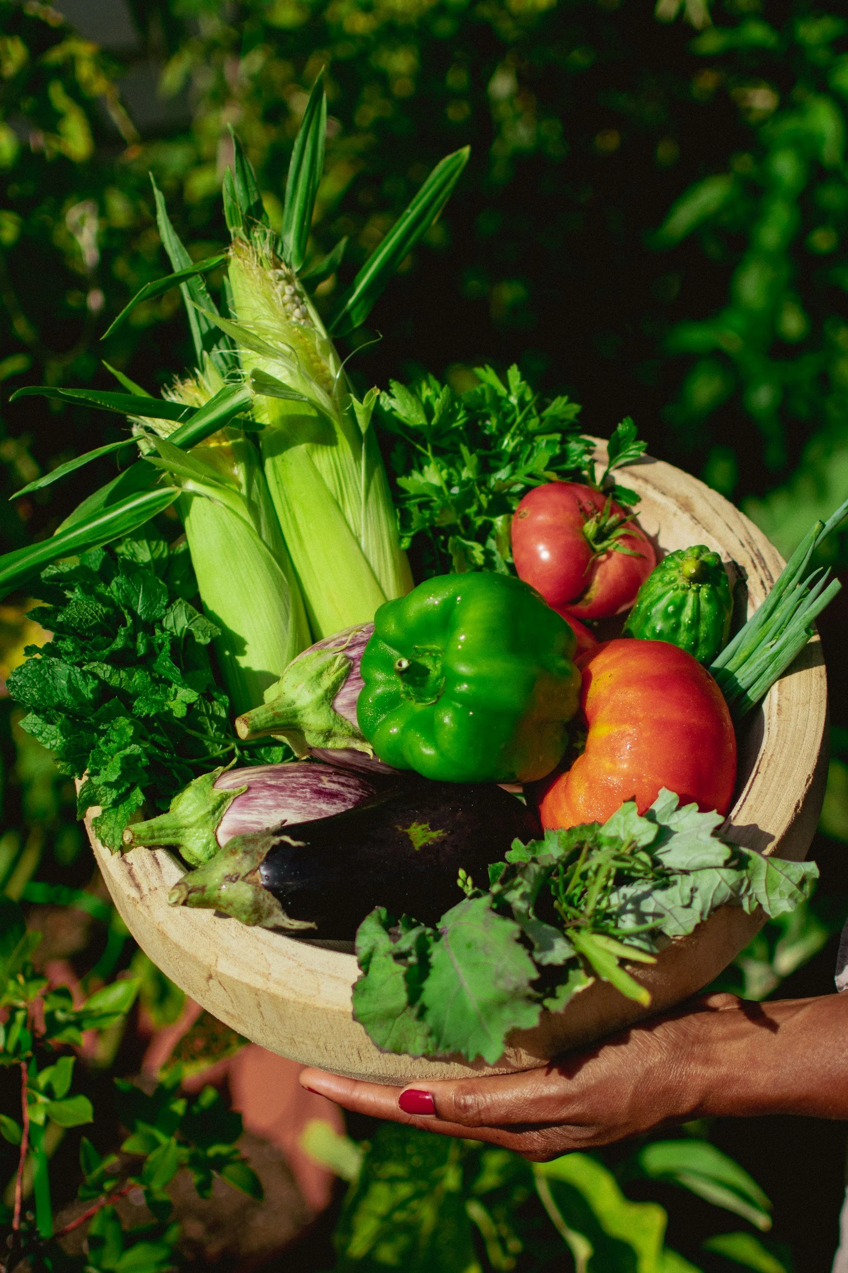 Close-up of a basket filled with freshly picked vegetables and herbs, including tomatoes, green bell pepper, eggplant, parsley, and leafy greens, held by a person's hand outdoors.