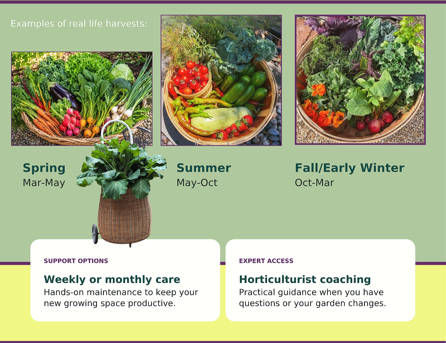 A chart showing examples of food harvests by season, including three photos of harvested vegetables and herbs. The first photo depicts a basket of spring vegetables like carrots, radishes, and eggplant with the text 'Spring Mar-May.' The second photo shows a basket of summer produce such as tomatoes, zucchini, and kale with the text 'Summer May-October.' The third photo displays a basket of fall or early winter produce including greens and root vegetables with the text 'Fall/Early Winter Oct-March.' Additionally, there is an illustration of a green leafy plant in a basket labeled for spring planting.