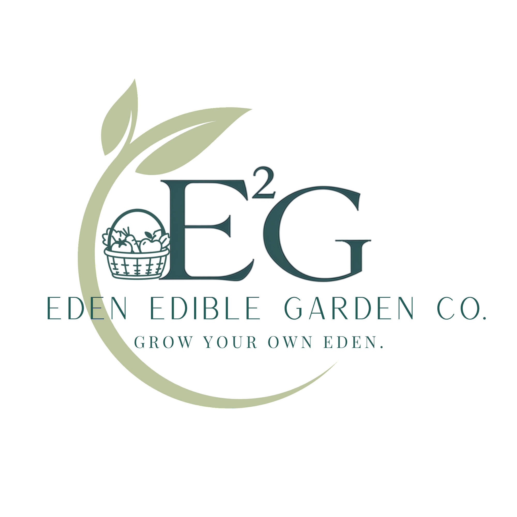Garden Consultation & Site Analysis