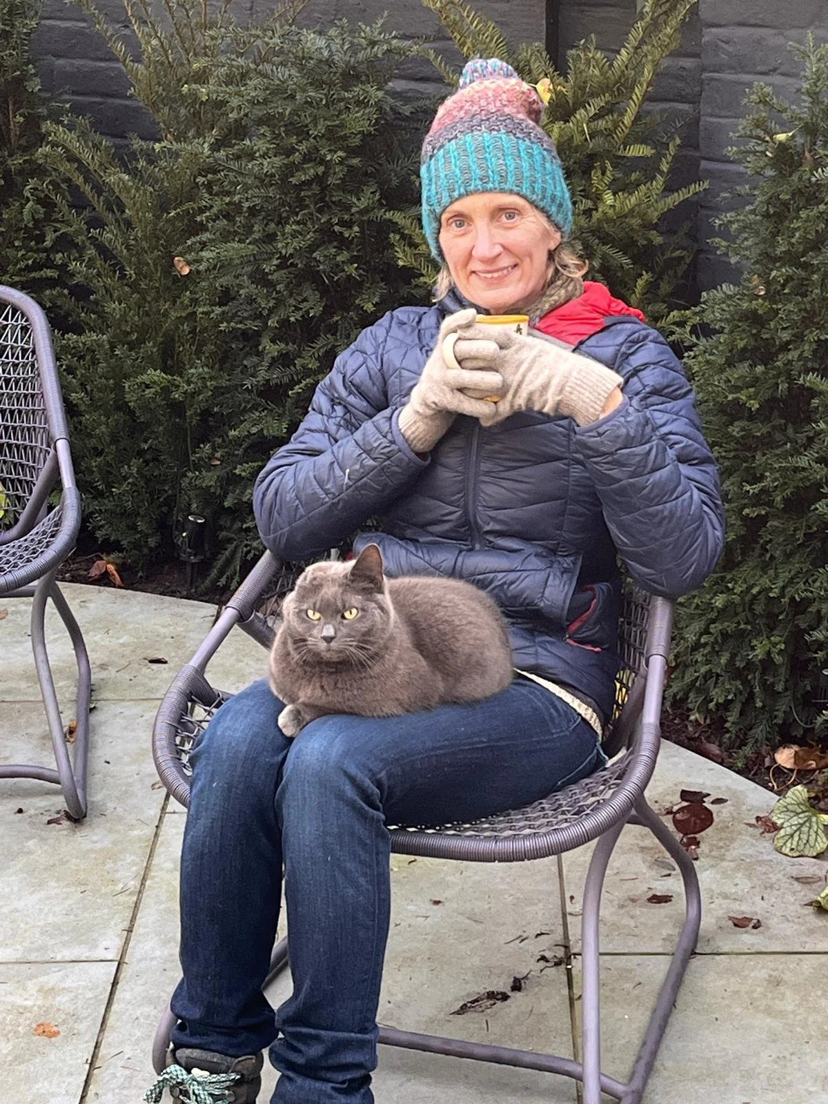 Cat sitting at home in Maidenhead