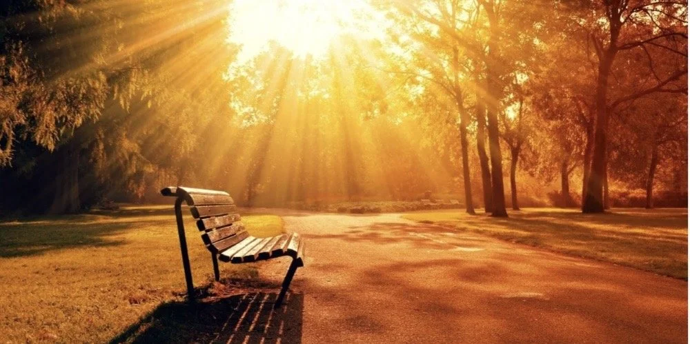 Love and Grief Can Exist in the Same Heart: 