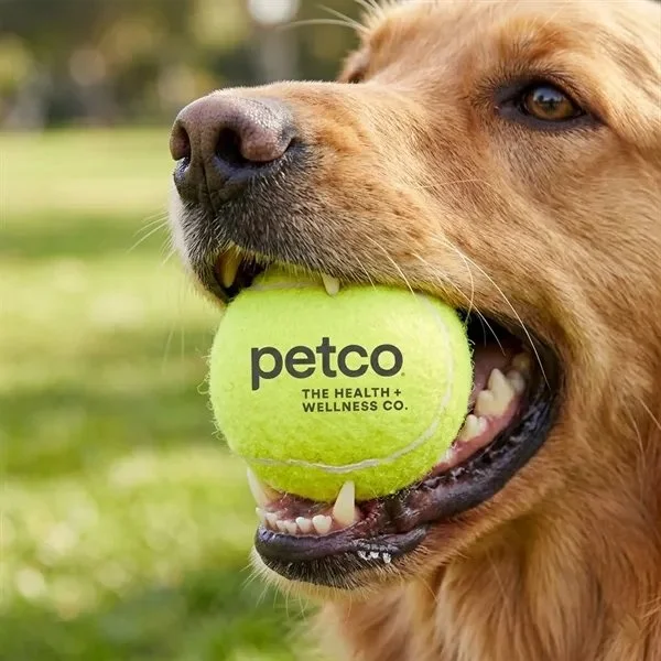 Pet Products